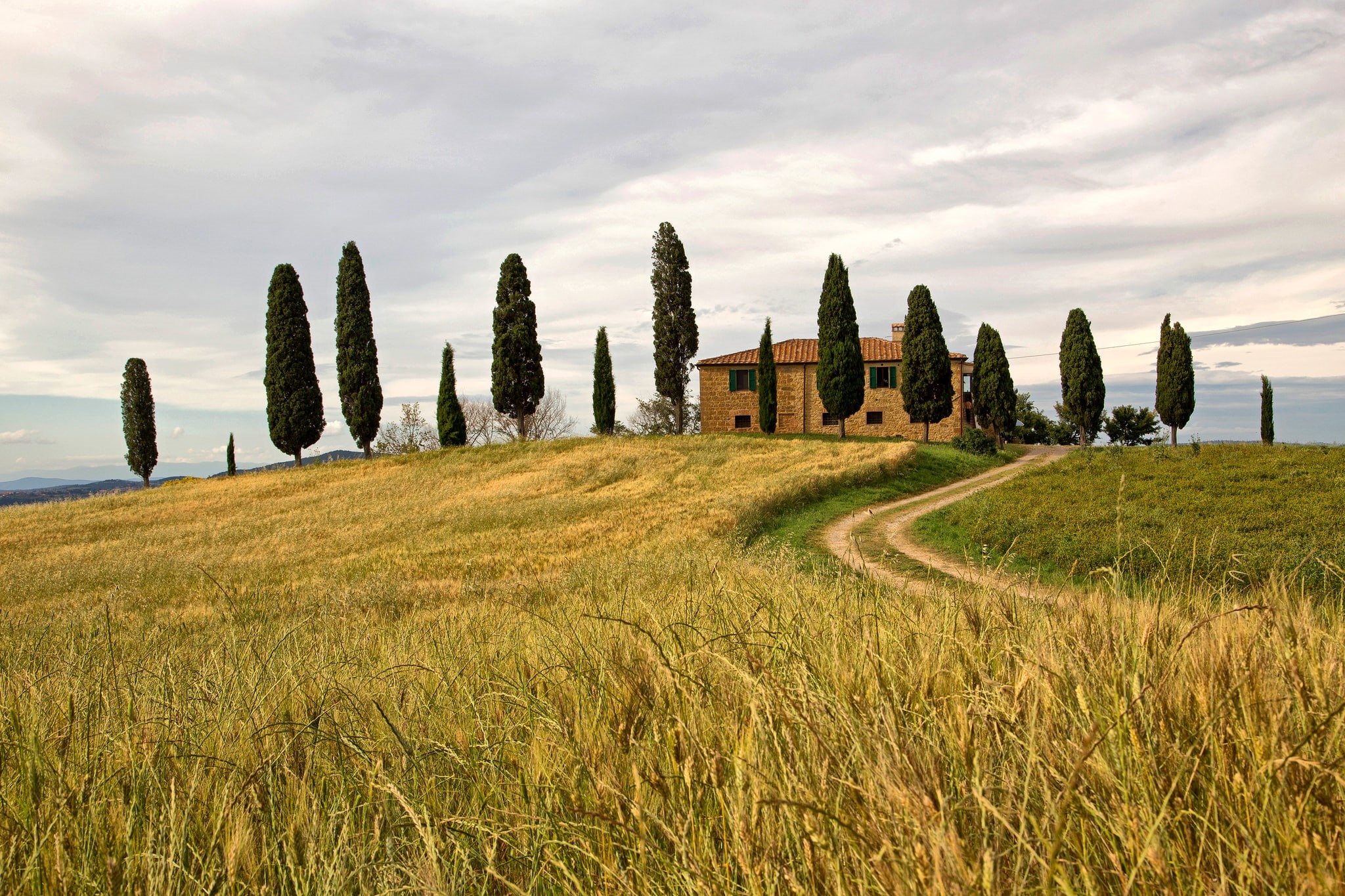 Italy, 1080P, trees, field, Siena, hill, the sky, Pienza, house, HD Wallpaper