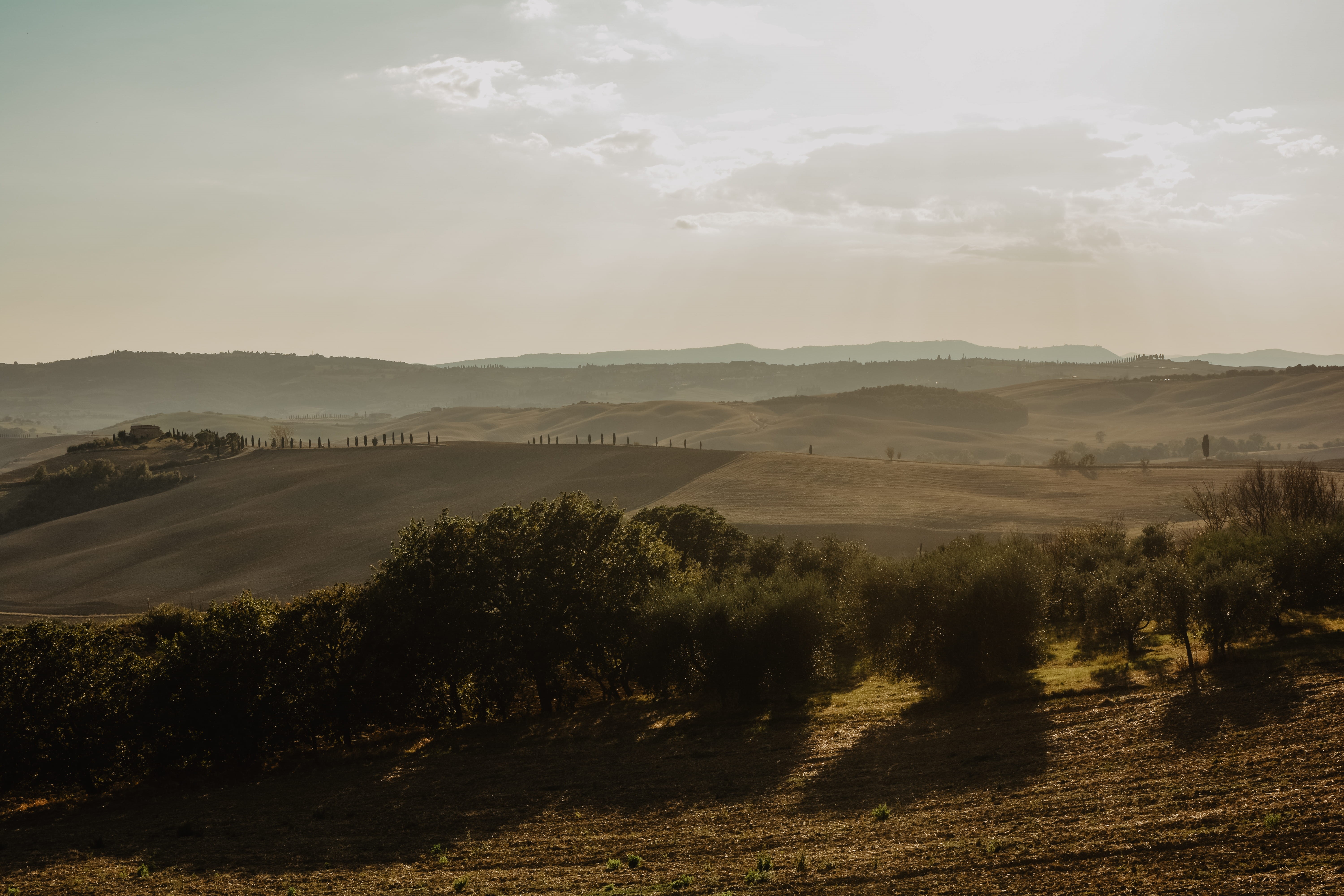 tranquility, tree, hazy, sky, pienza, idyllic, fog, land, plant, tranquil scene, environment, day, beauty in nature, landscape, no people, non-urban scene, HD Wallpaper