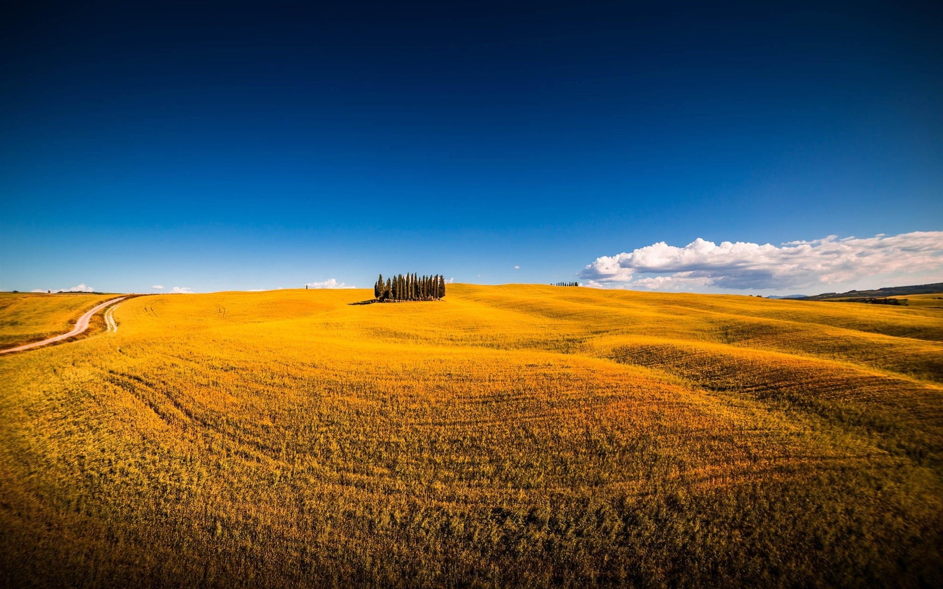 1080P, Montalcino, Italy, Fields, Summer, Siena, Trees, HD Wallpaper