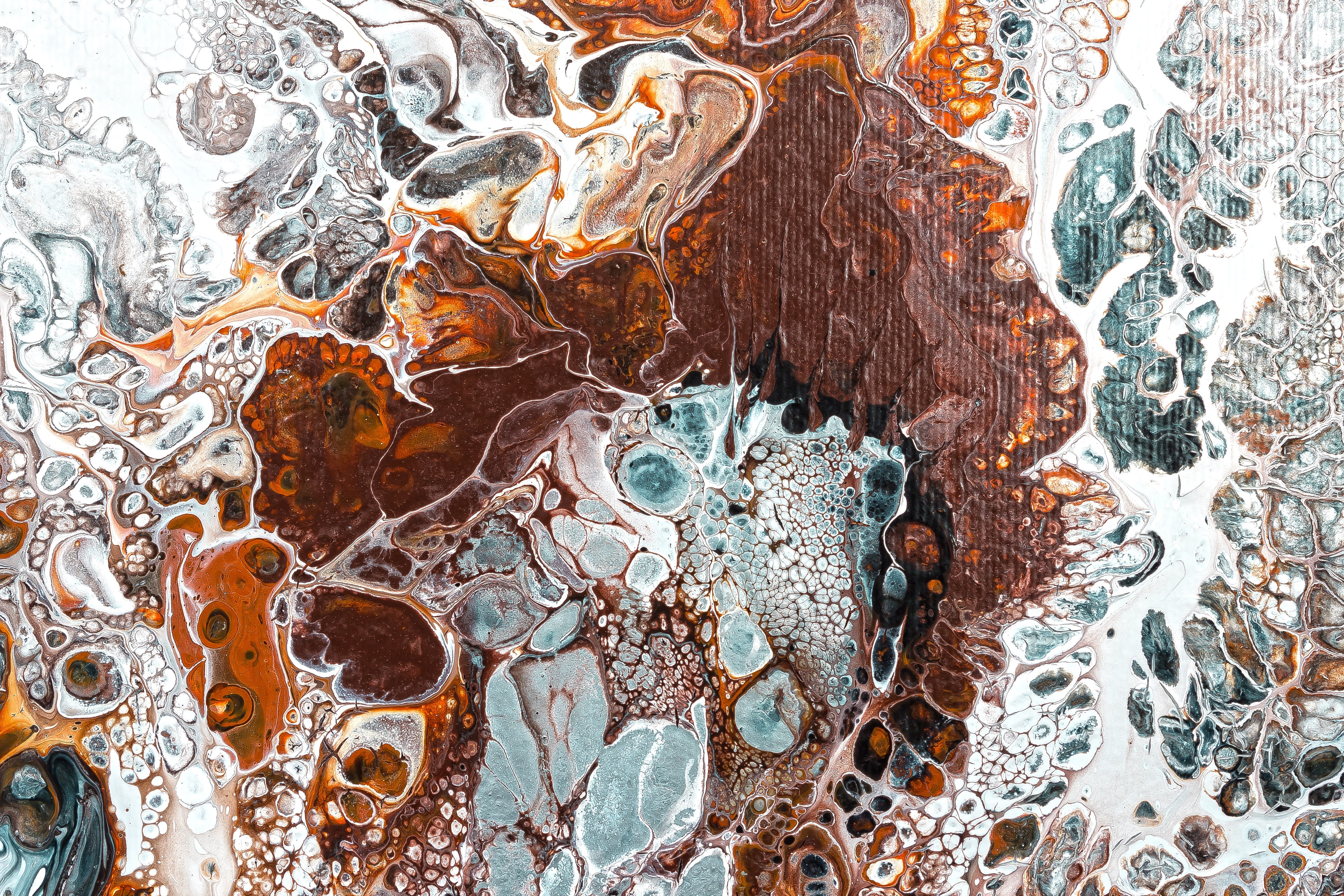 cell formation, cell, textured, paint, nature, animal, silver, white, pouring, background, acrylic paint, day, siena, color, no people, grey, indoors, brown, HD Wallpaper