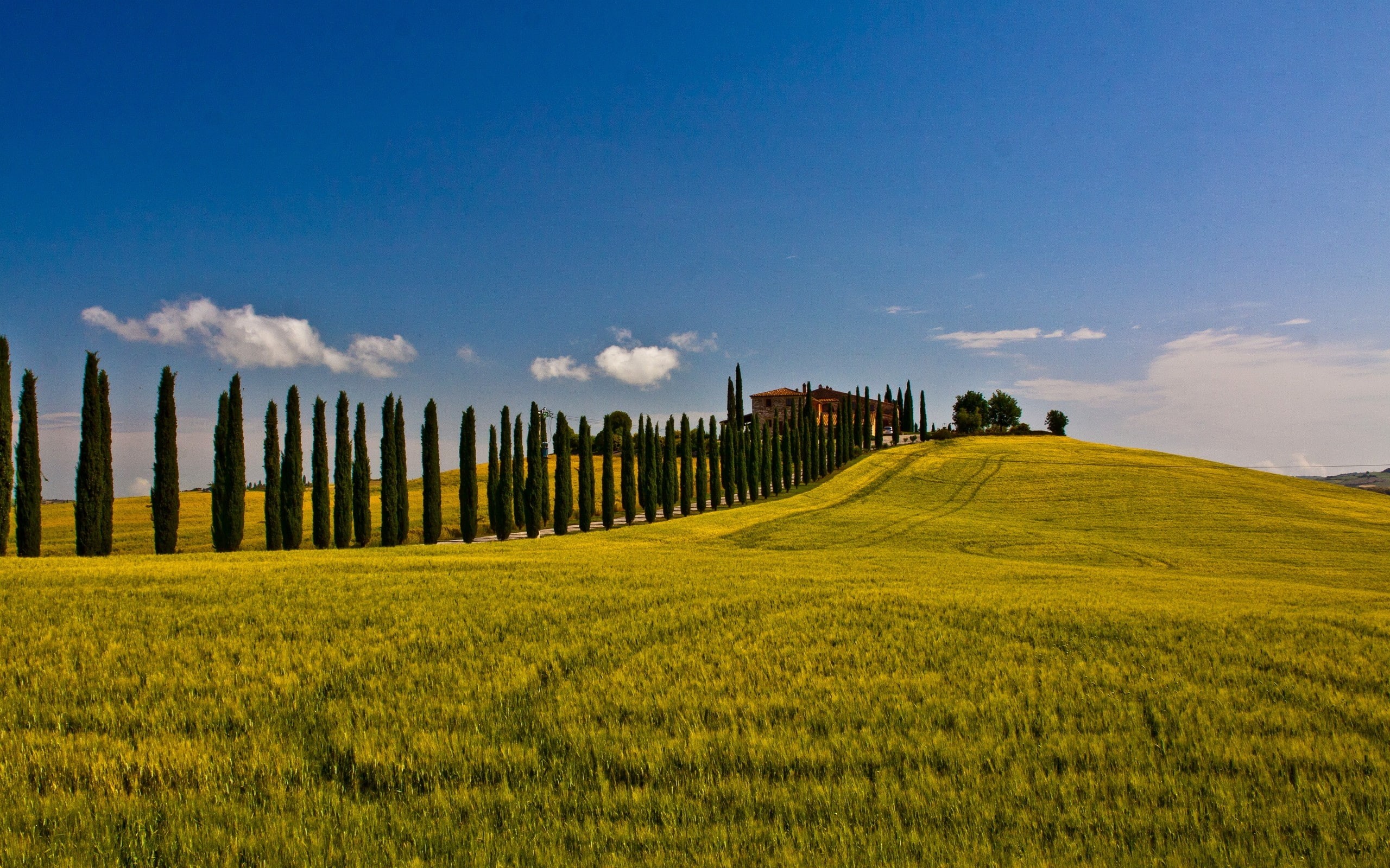 x, 2K, siena, art, nature, dorcia, cipressi, Landscapes, hd, val, toscana, fields, italy, HD Wallpaper