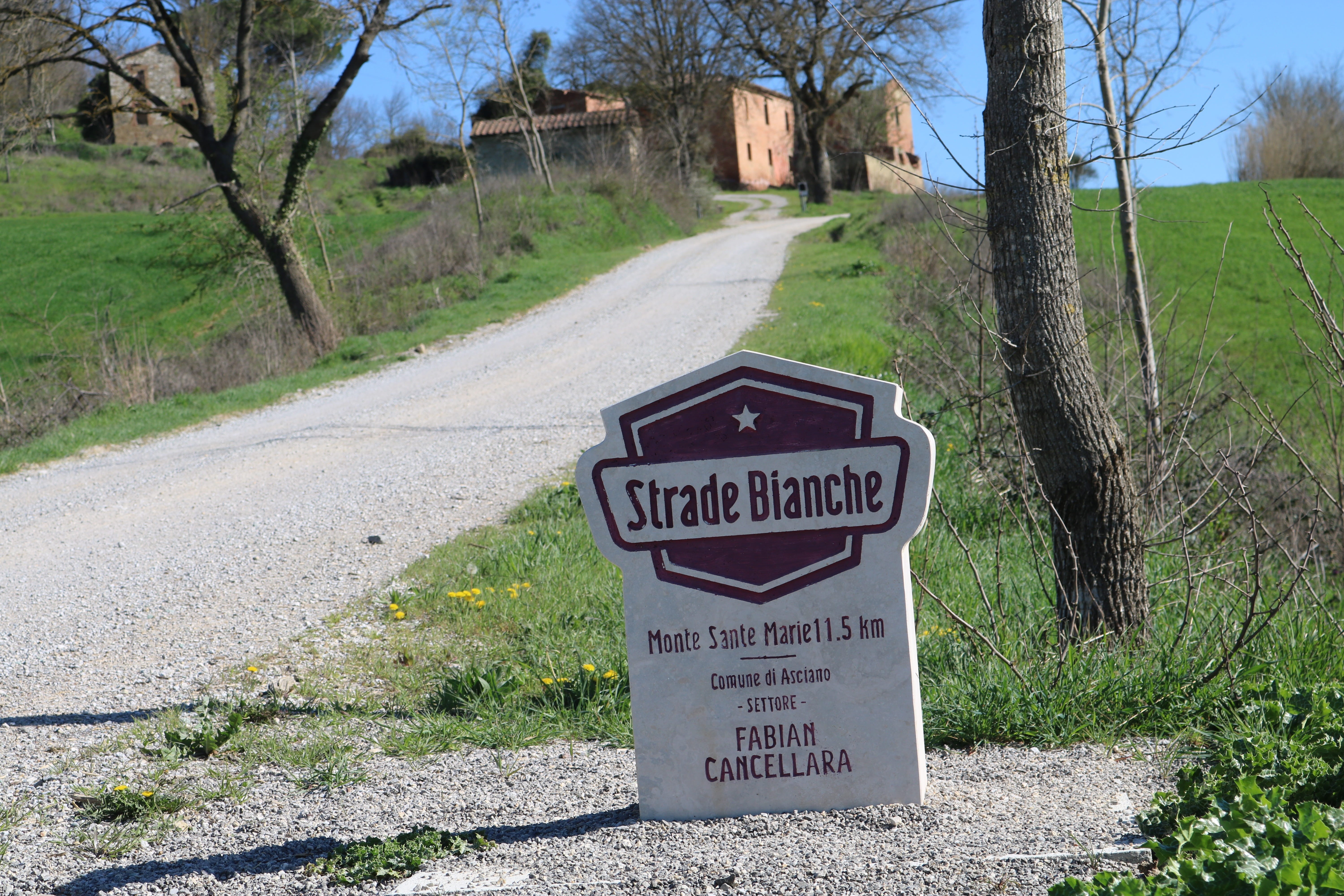 grass, no people, information, day, fabian cancellara, western script, sign, 5K, siena, communication, direction, information sign, tree, plant, green color, HD Wallpaper