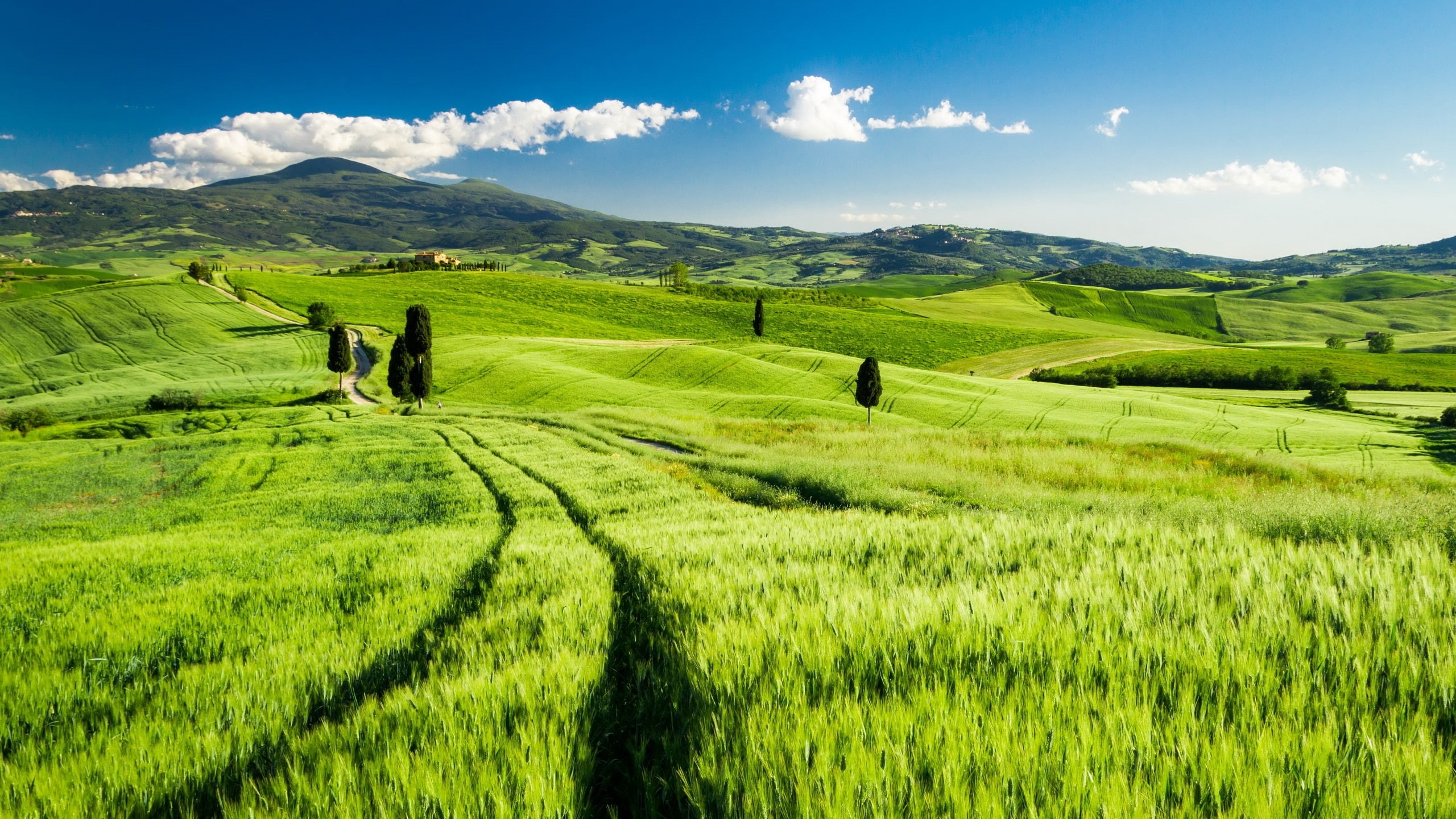 Italy, 2K, Tuscany, Green, Spring, Fields, HD Wallpaper