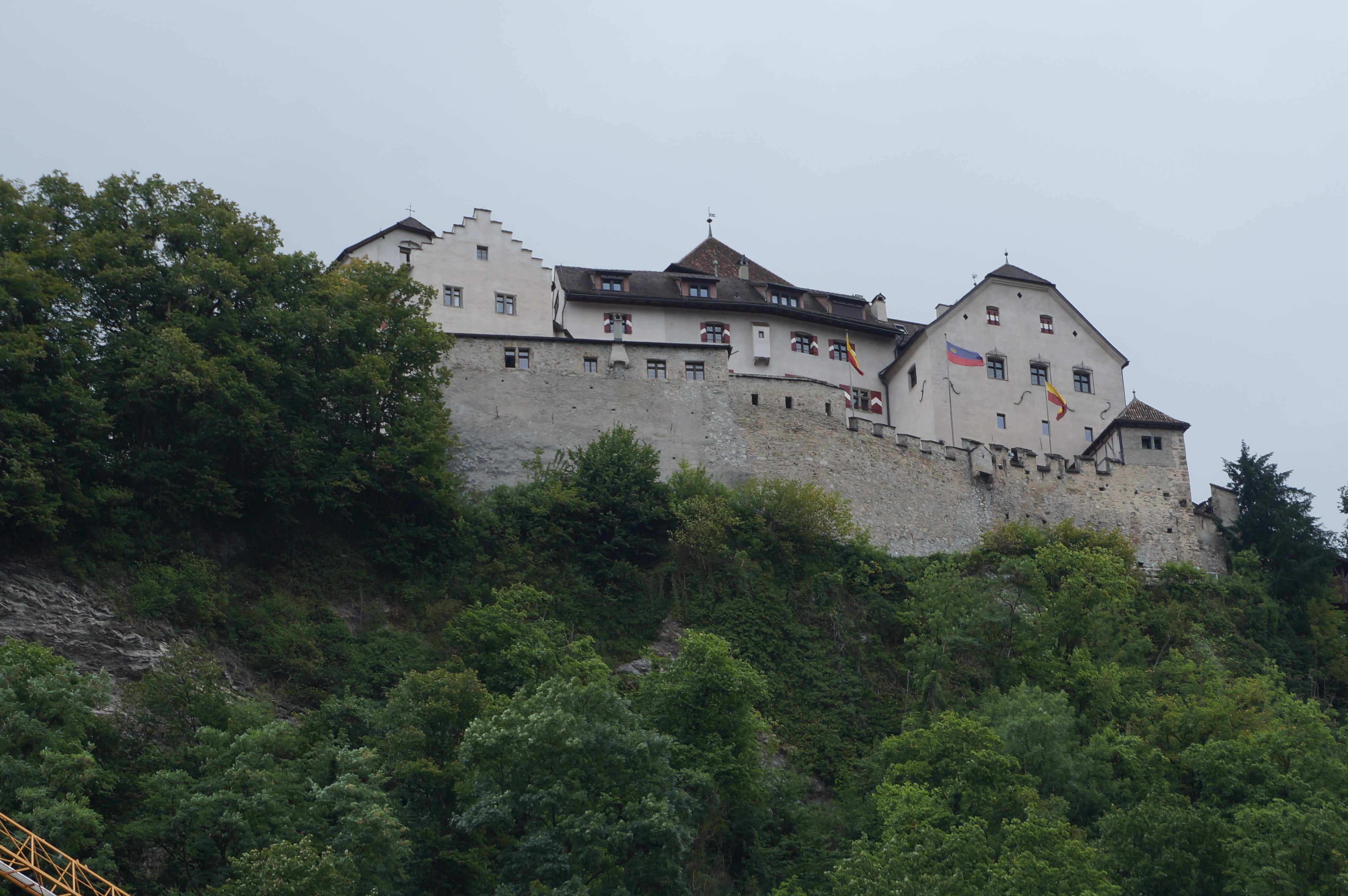 plant, low angle view, built structure, house, liechtenstein, architecture, sky, outdoors, green color, nature, history, city walls, growth, clear sky, HD Wallpaper
