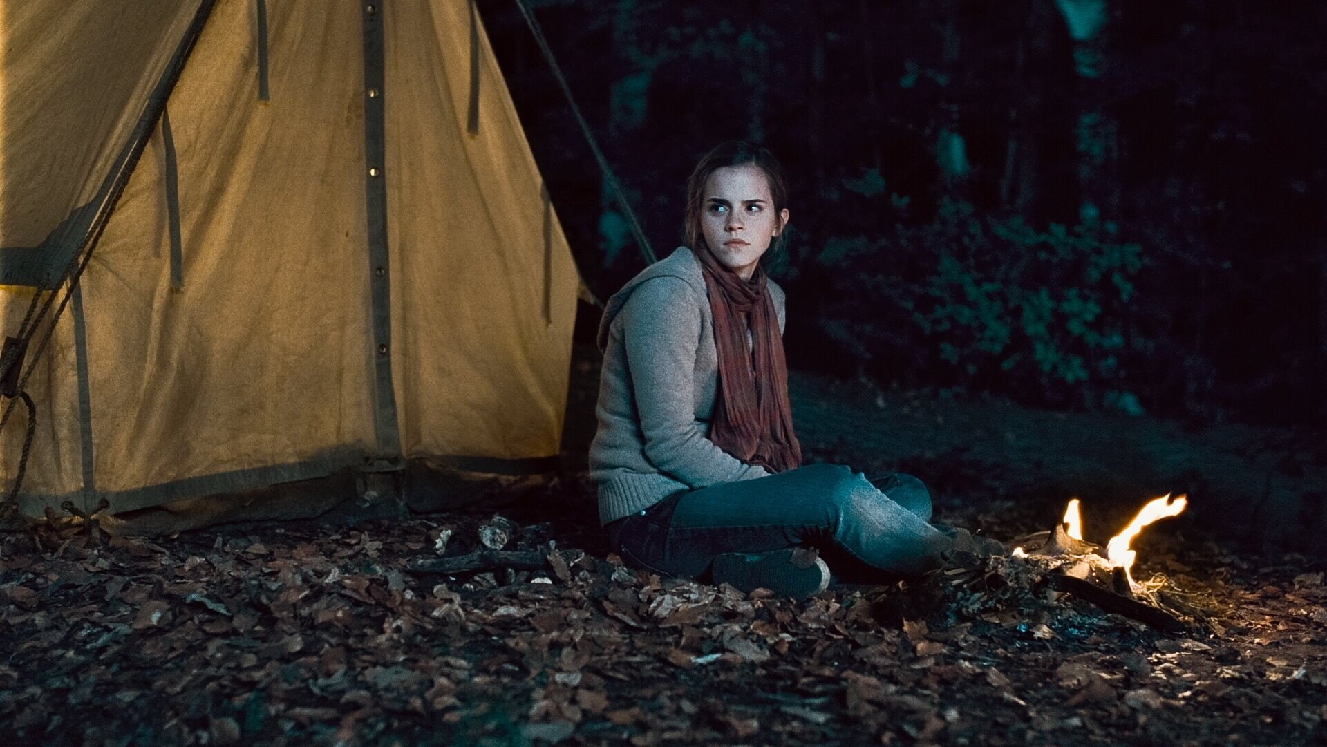 Hermione Granger, Harry Potter and the Deathly Hallows: Part 1, Harry Potter, 1080P, HD Wallpaper