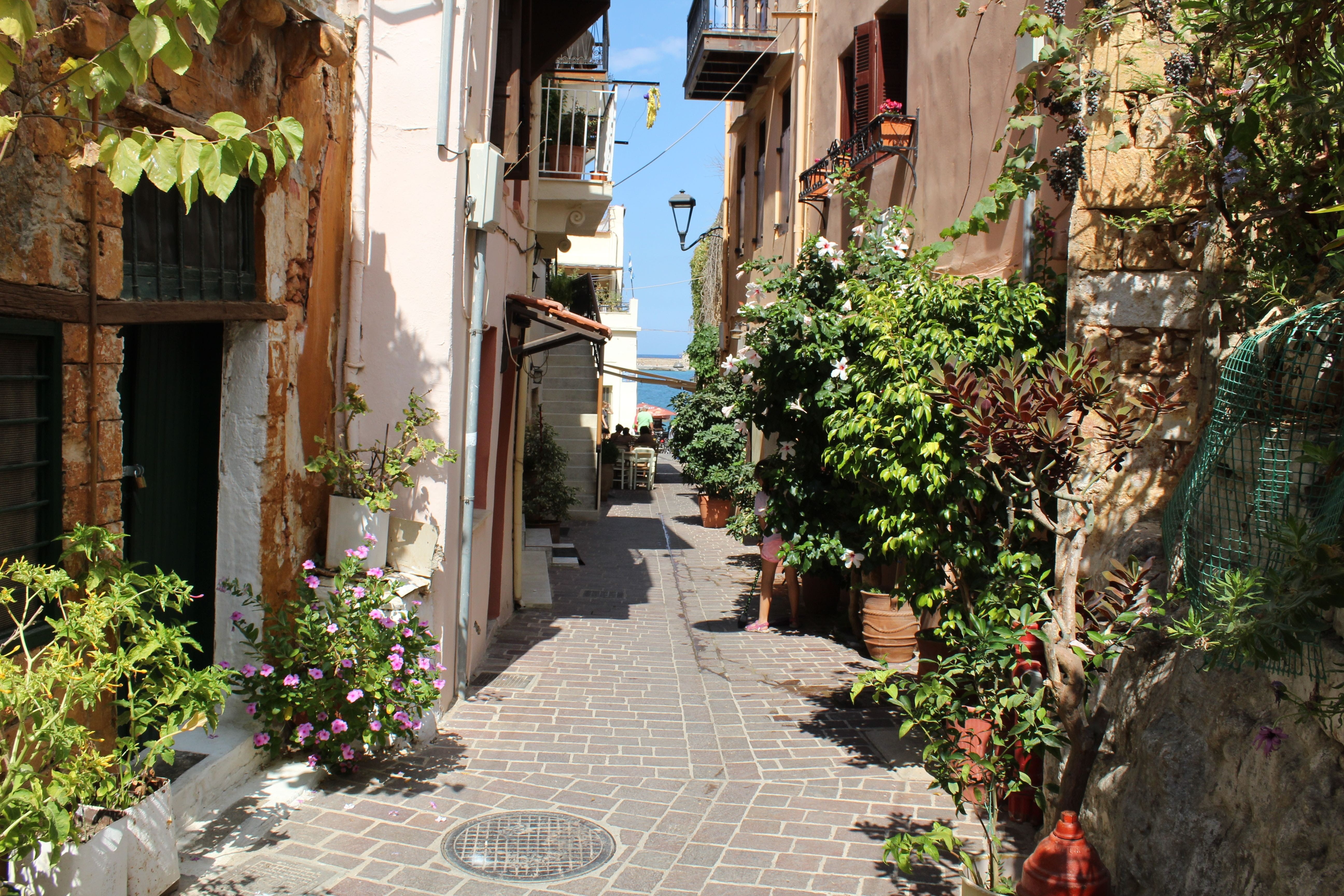 built structure, building, Chania, city, direction, residential district, day, outdoors, no people, potted plant, holidays, the way forward, plant, Hanya, HD Wallpaper