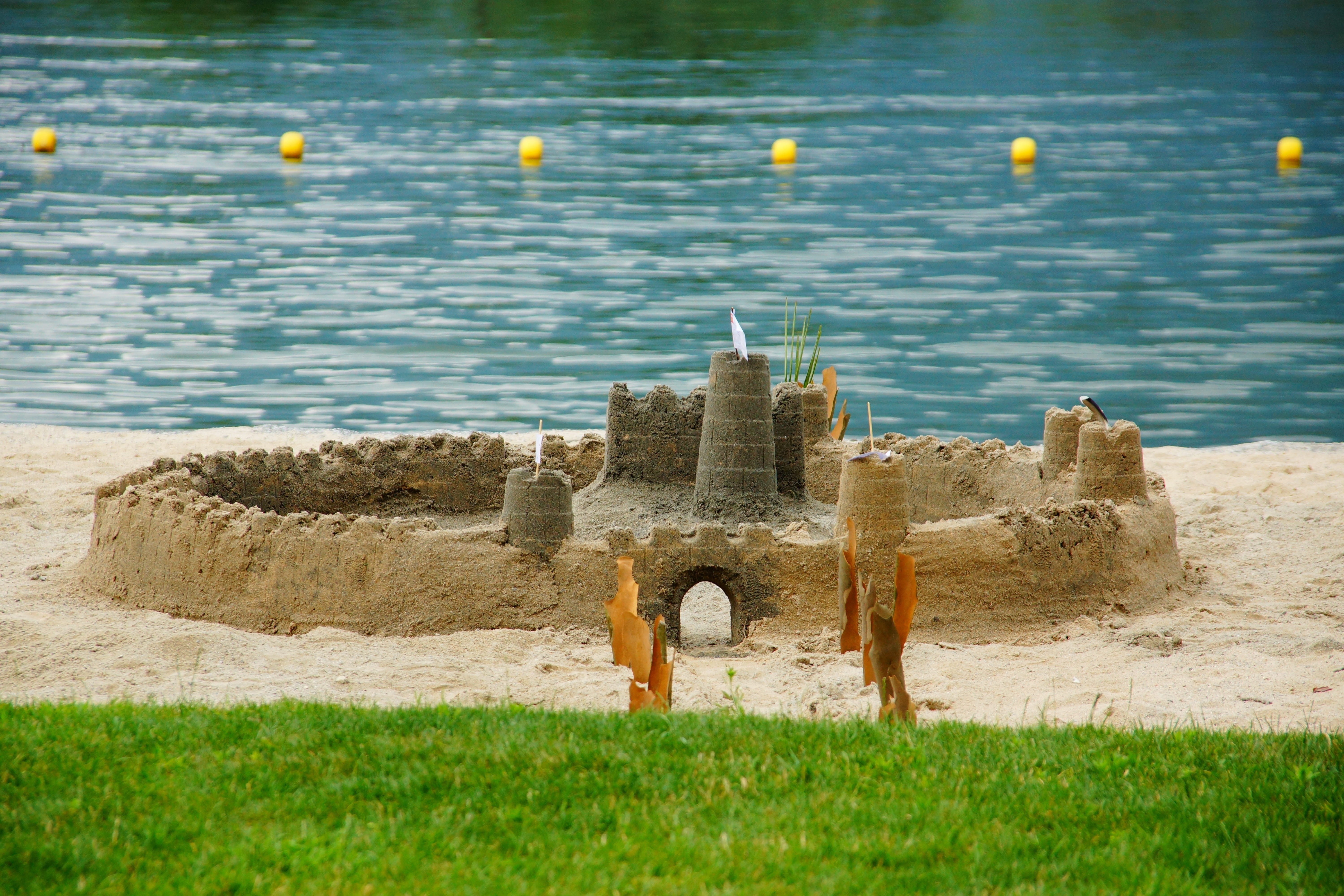 digging, sand sculpture, 5K, sandalwood, domestic animals, ancient, grass, architecture, lake, old ruin, Sandburg, the past, animal themes, day, summer, HD Wallpaper