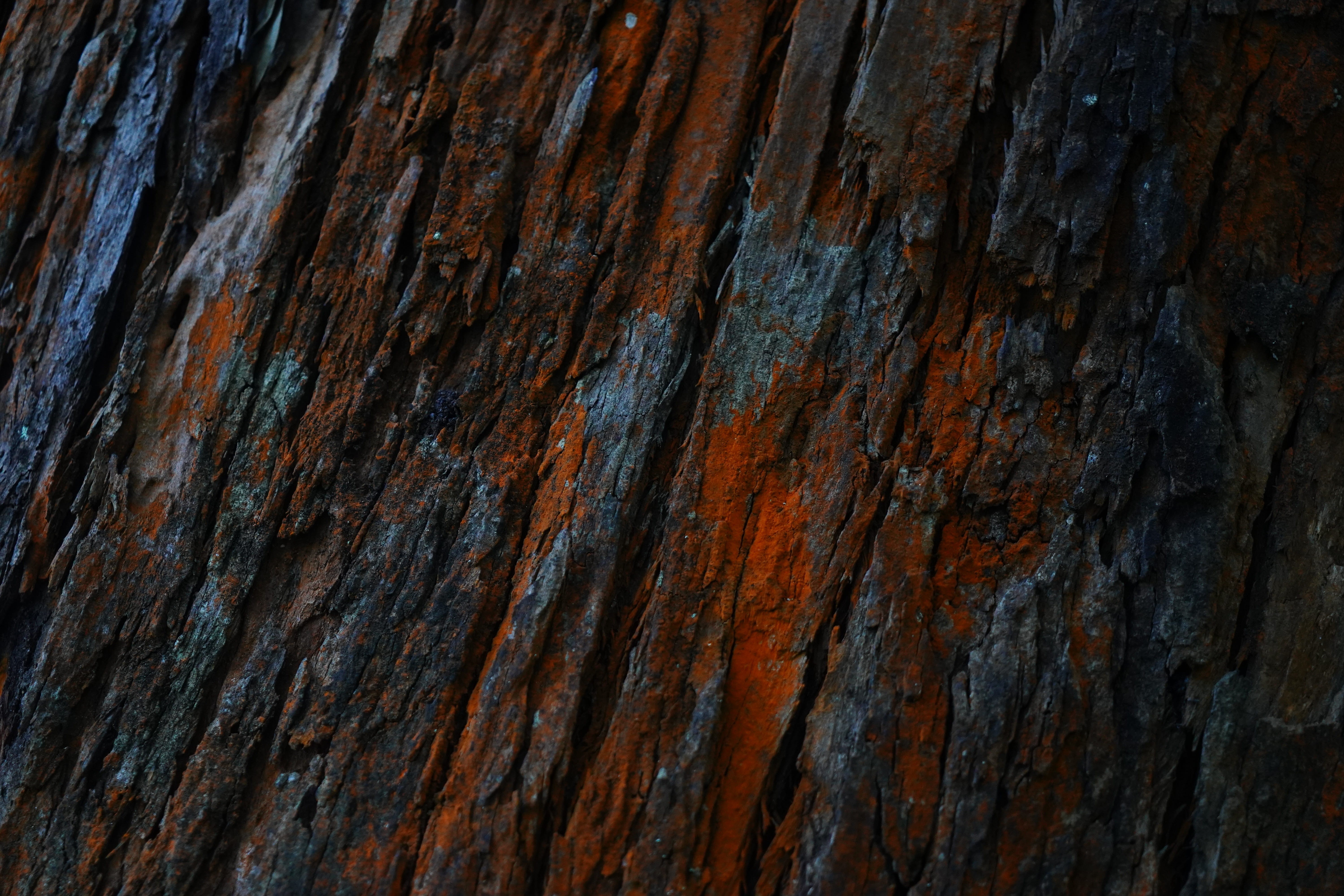 desk, close-up, tiled floor, weathered, dark, pattern, nature, photography, brown, material, teak tree, tile, outdoors, trunk, 5K, wood grain, walnut wood, HD Wallpaper