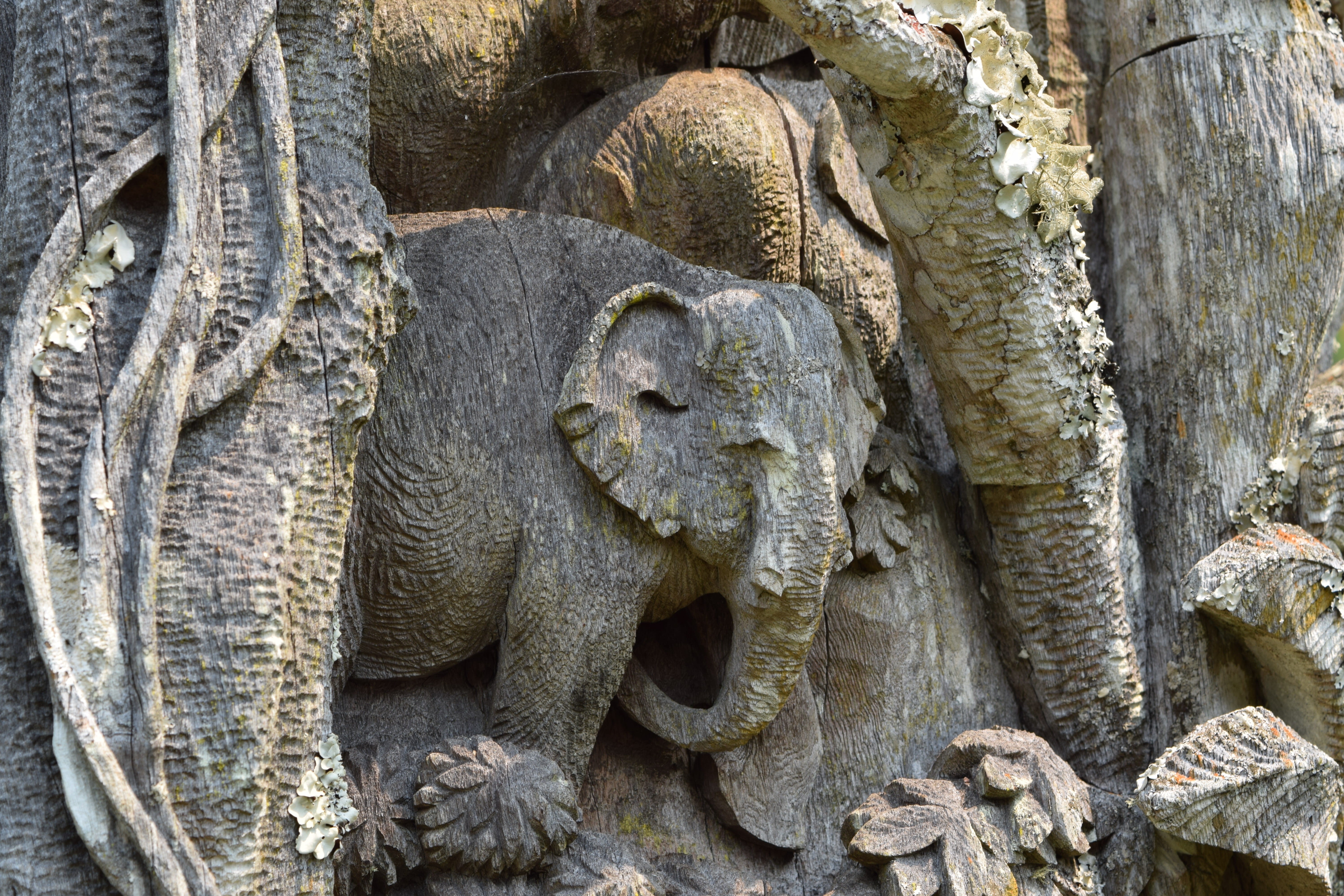 carving - craft product, one animal, architecture, outdoors, art and craft, solid, the past, asia, chaing mai, thailand, no people, teak wood, tree trunk, HD Wallpaper