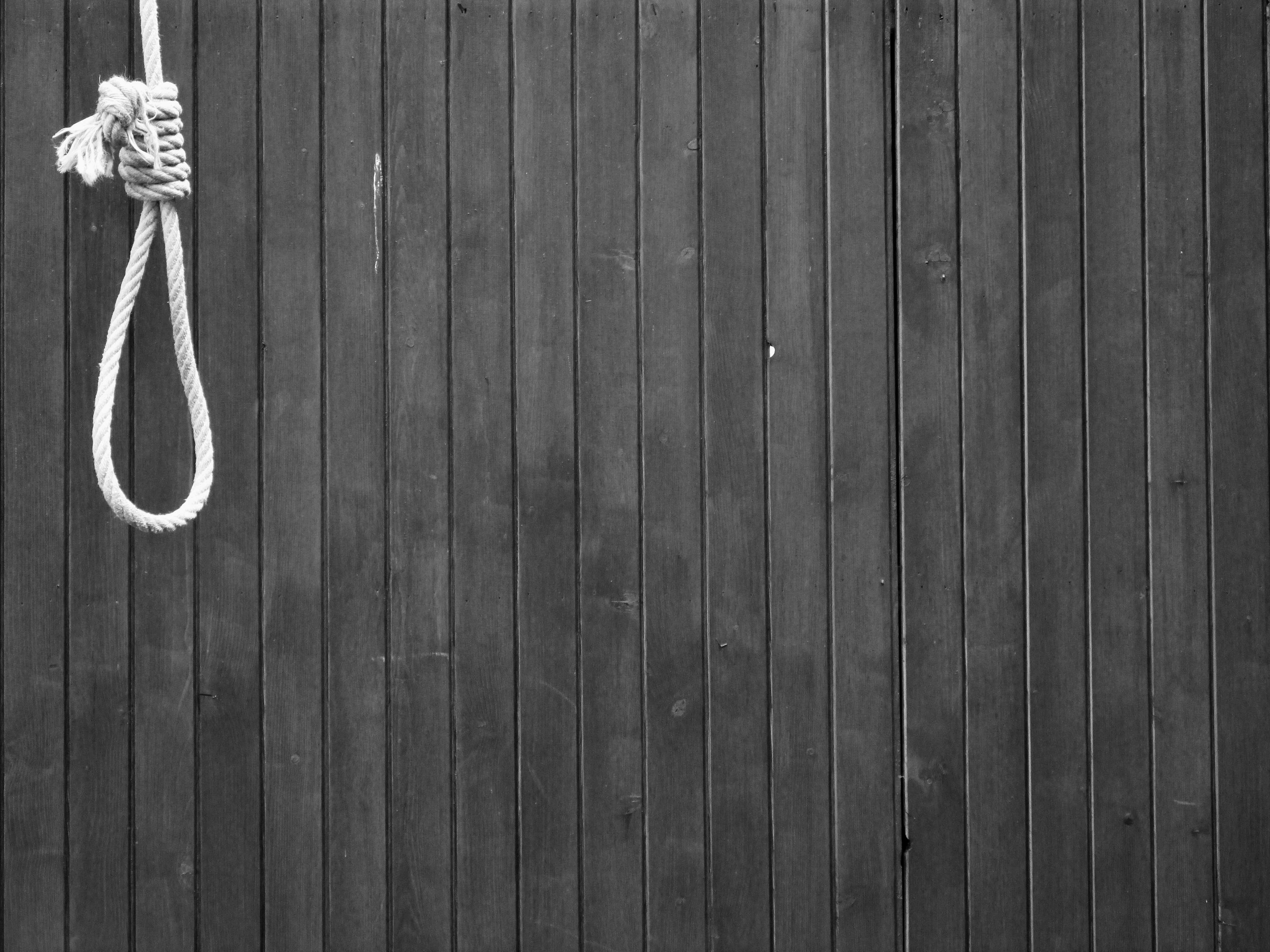 negative, directly above, rope, no people, dead, boundary, hanger, wood - material, tied knot, black and white, close-up, safety, 4K, day, still life, HD Wallpaper