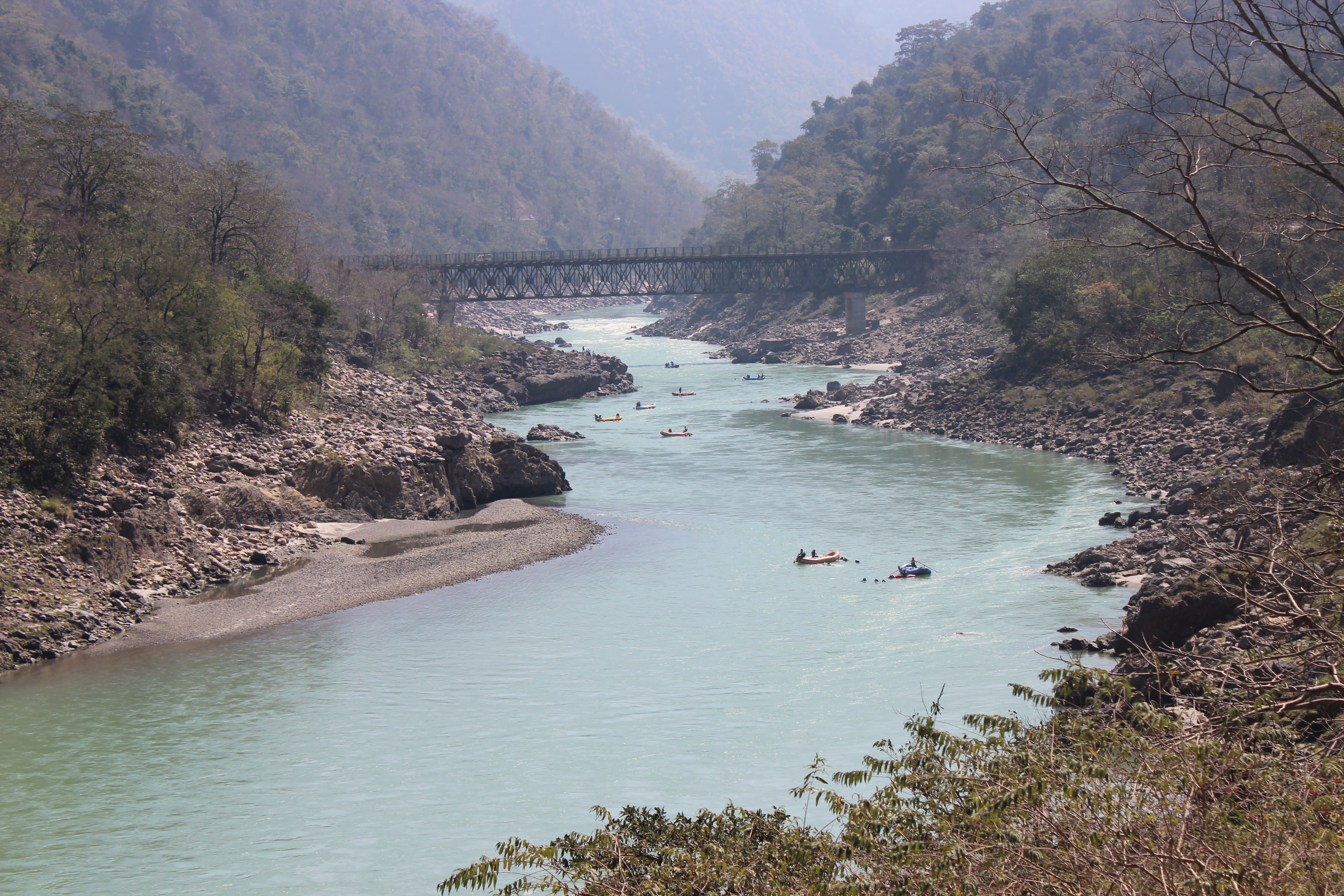 nature, water, rishikesh, plant, outdoors, rafting, tree, green, scenics - nature, raft, solid, beauty in nature, 5K, travel, adventure, tranquil scene, HD Wallpaper