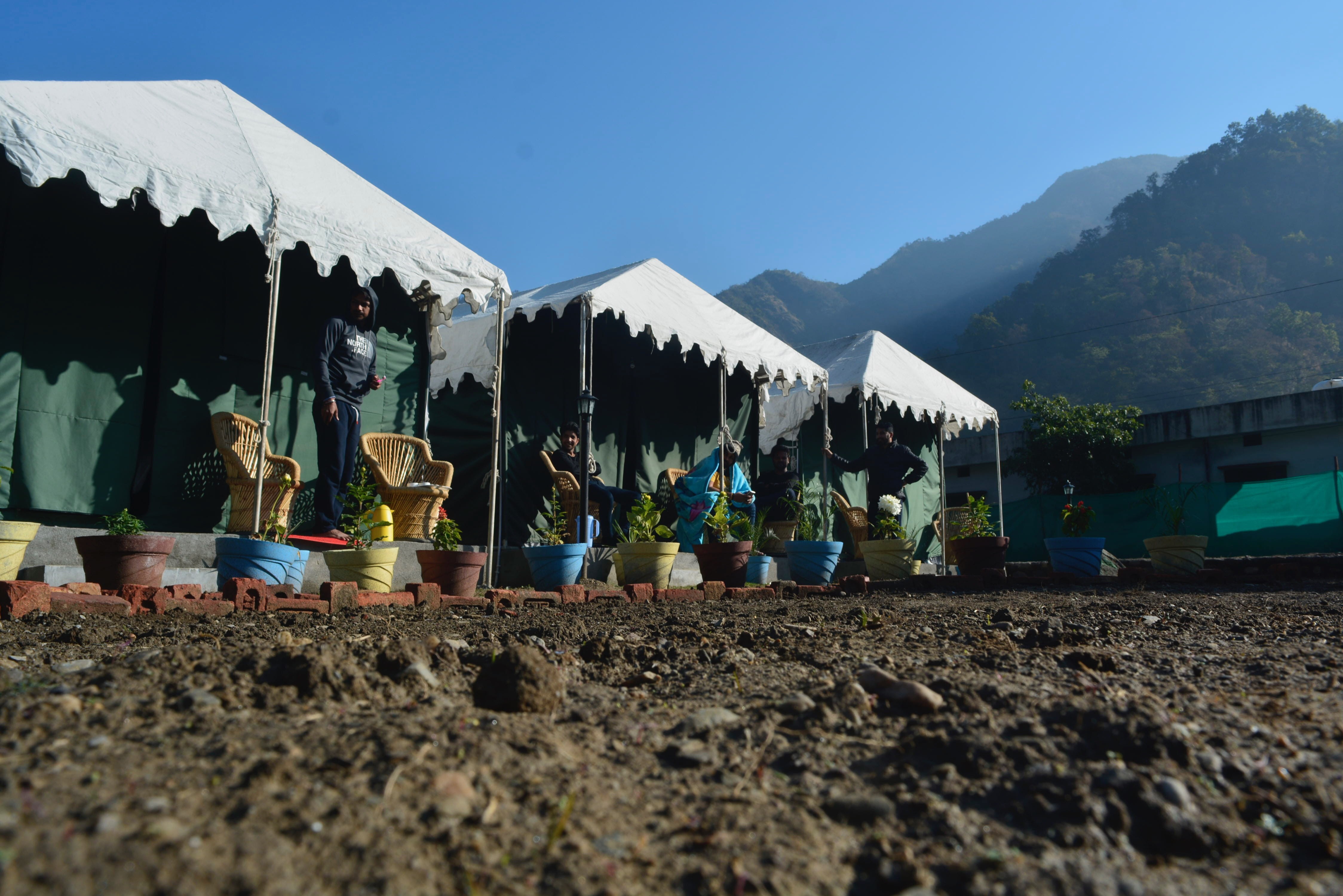 camp morning, rishikesh, tree, friends morning, friends outing, camping, 4K, architecture, plant, field, sunlight, nature, clear sky, camp, land, day, HD Wallpaper