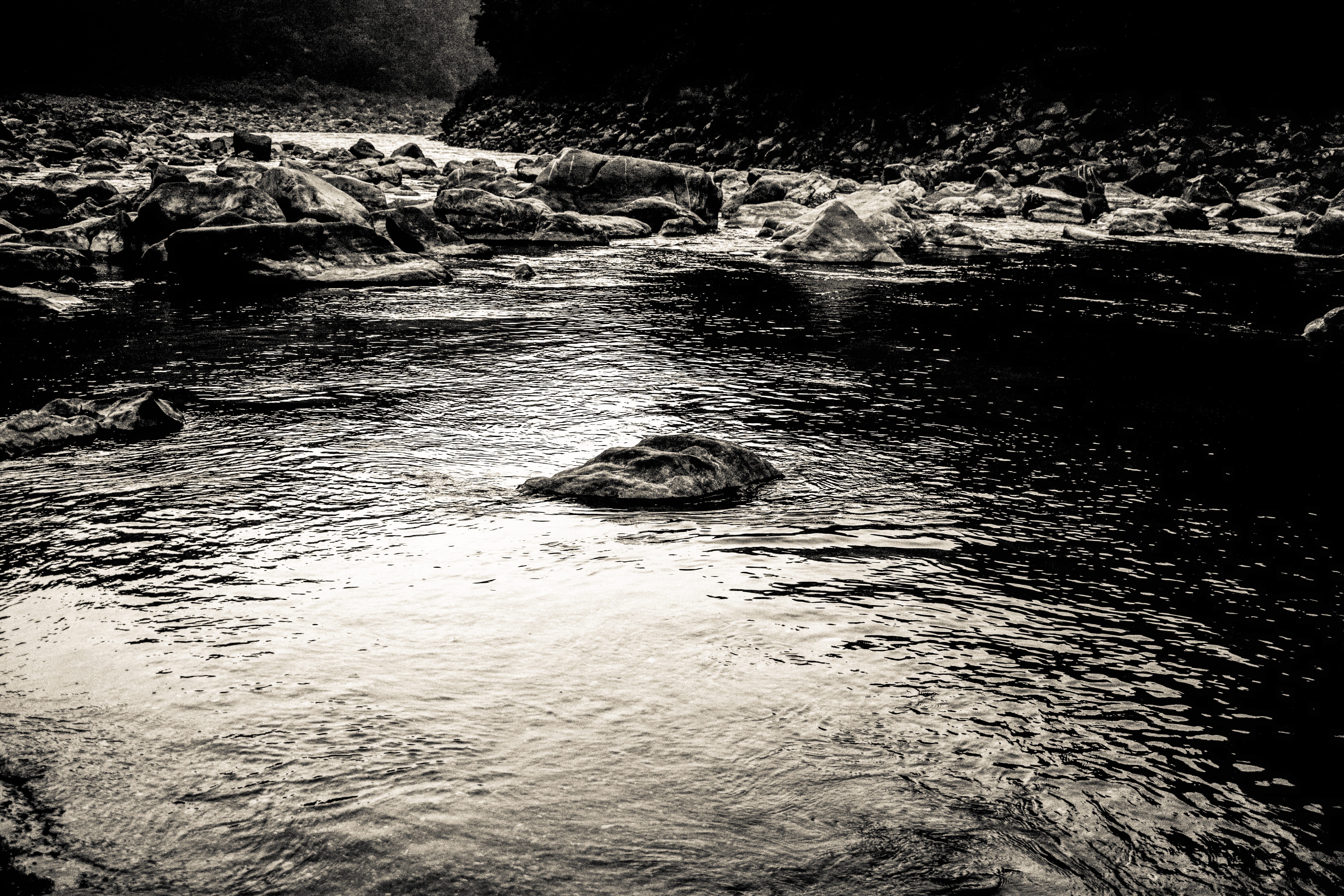 beauty in nature, scenics - nature, india, flowing water, forest, solid, dank, water, dark, river, rock, 5K, nature, waterfront, motion, no people, rocks, HD Wallpaper