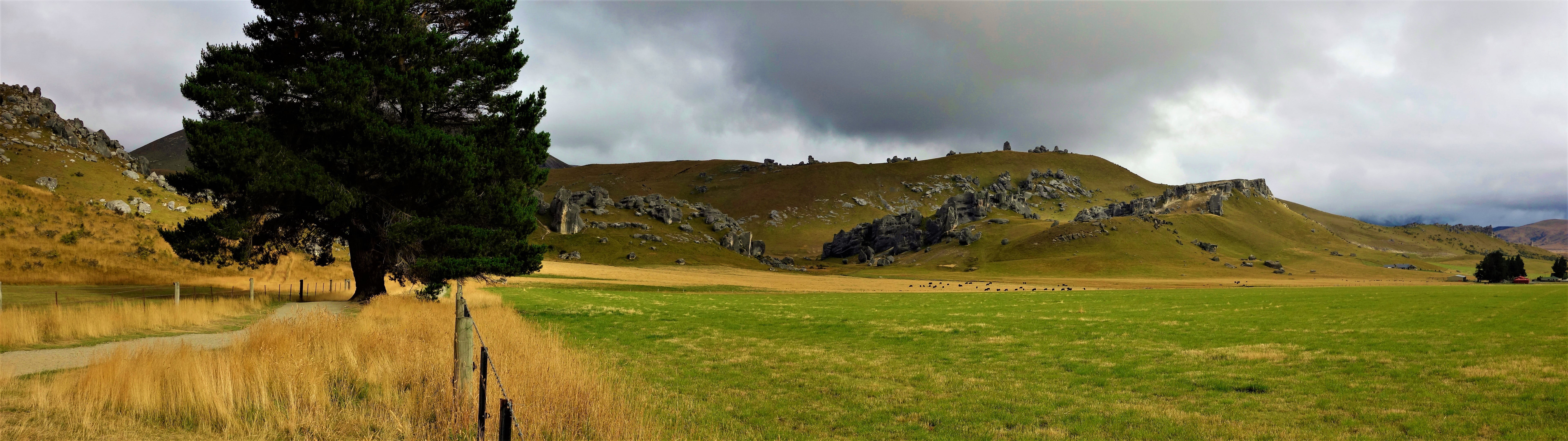 grass, activity, mountain, outdoors, plant, Mt Cook, green color, golf course, panoramic, New Zealand, scenics - nature, land, tree, sky, cloud - sky, landscape, HD Wallpaper