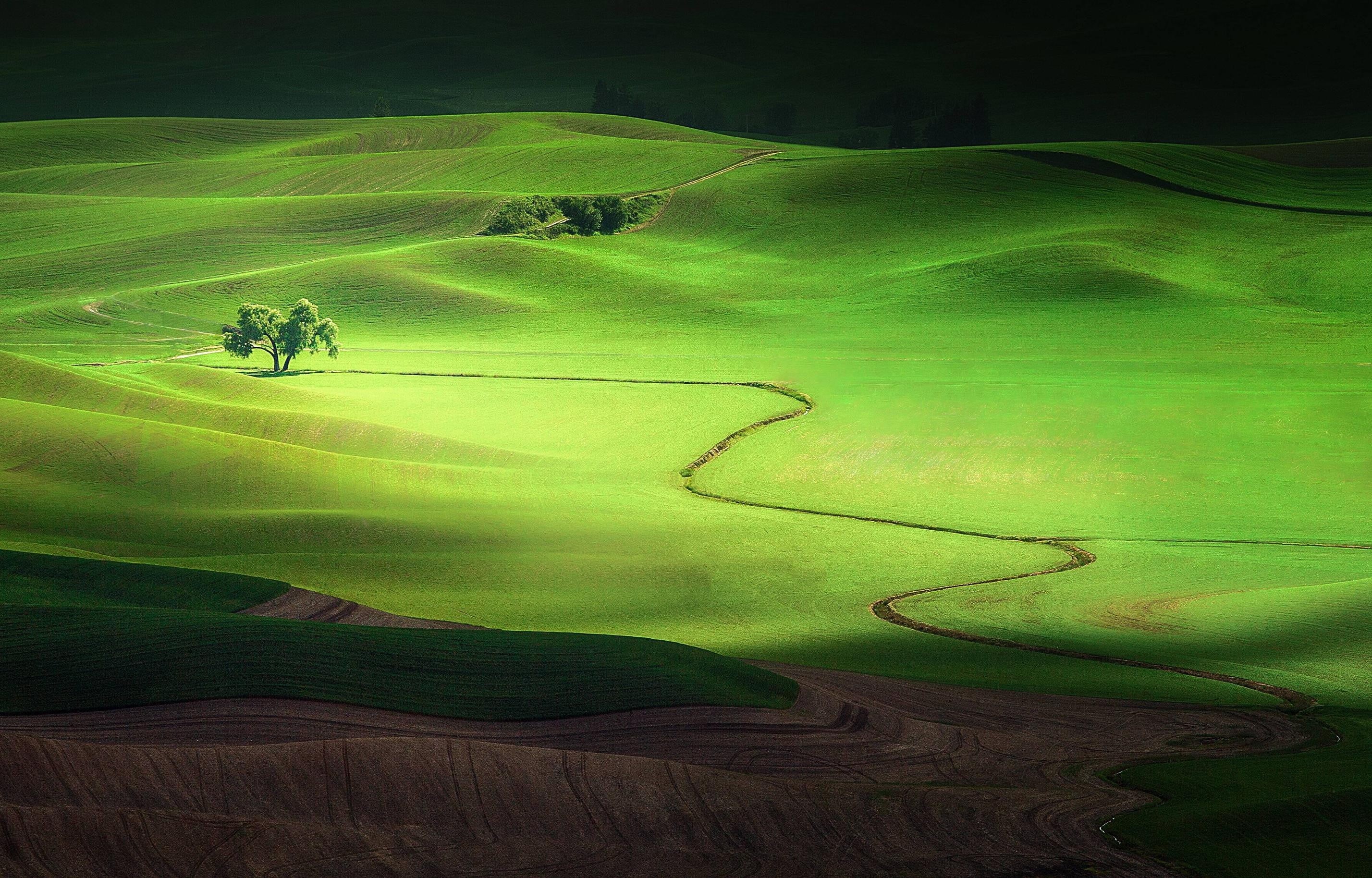 painting, day, outdoors, grass, nature, high angle view, land, Washington state, green, field, scenics - nature, activity, environment, USA, rolling landscape, HD Wallpaper