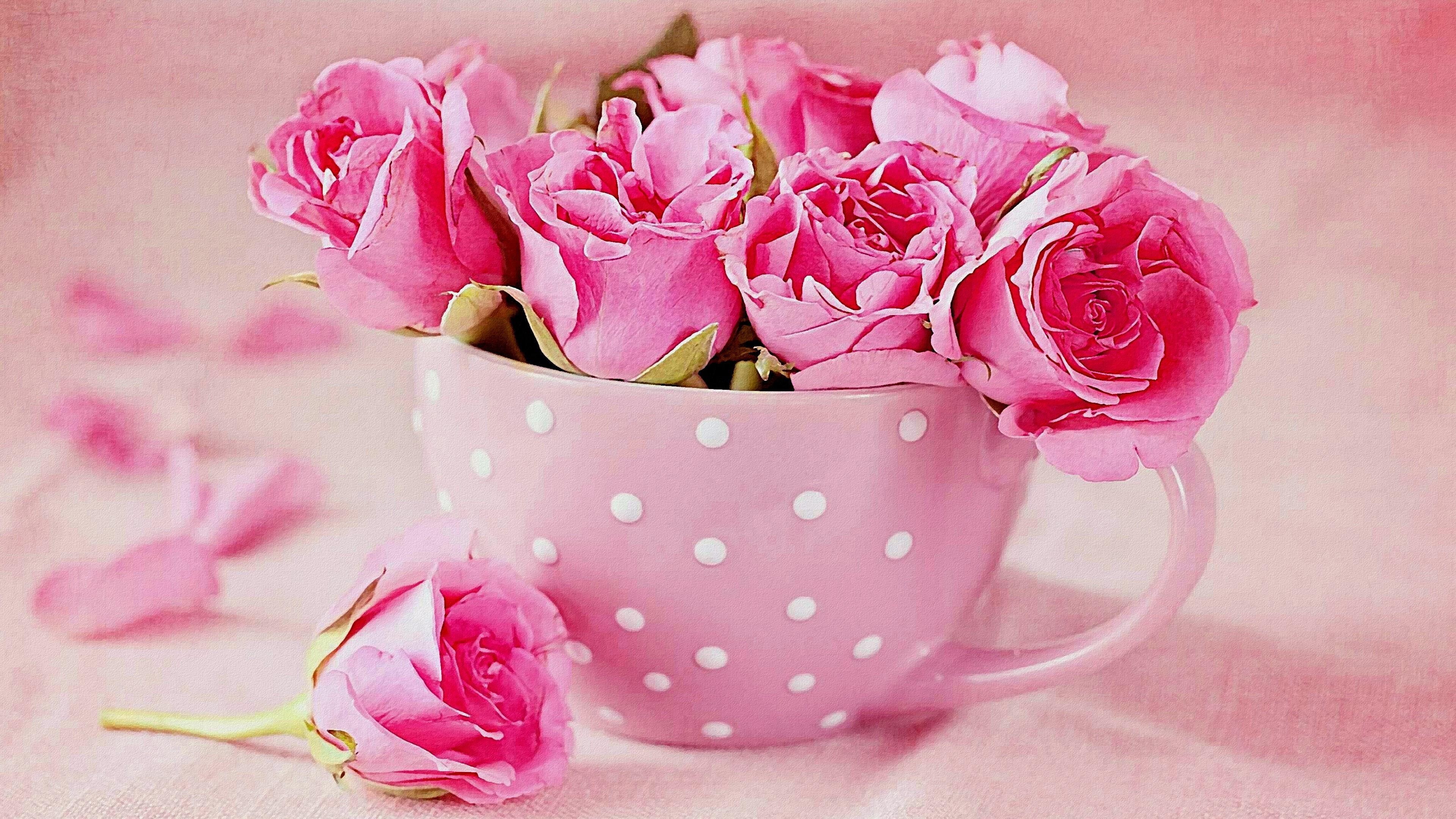 cup, romantic, roses, 4K, good morning, HD Wallpaper