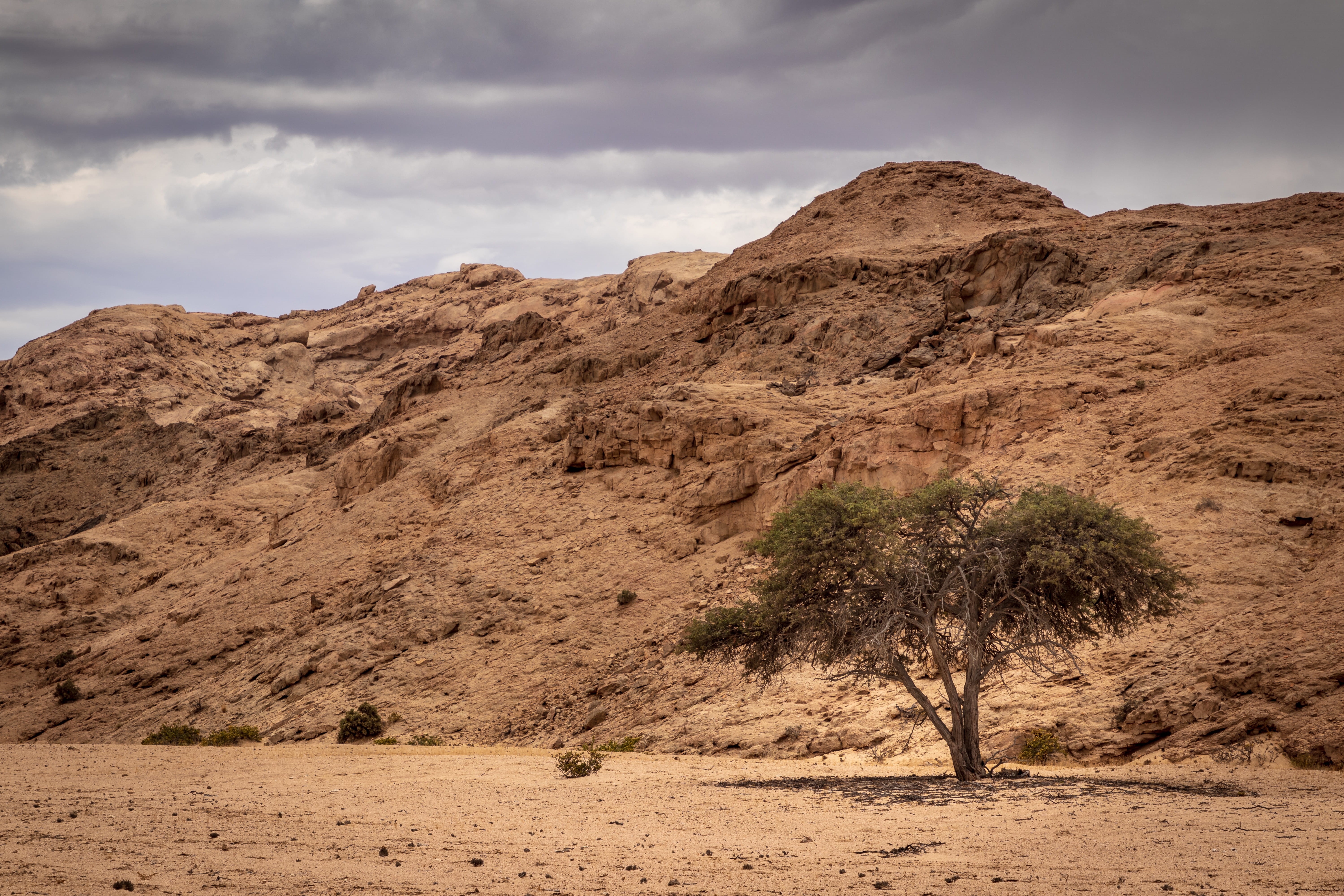 dune, mountain range, rock formation, rock - object, sky, environment, mountain, animal, mound, sand, plant, wilderness, field, mesa, grassland, savanna, HD Wallpaper