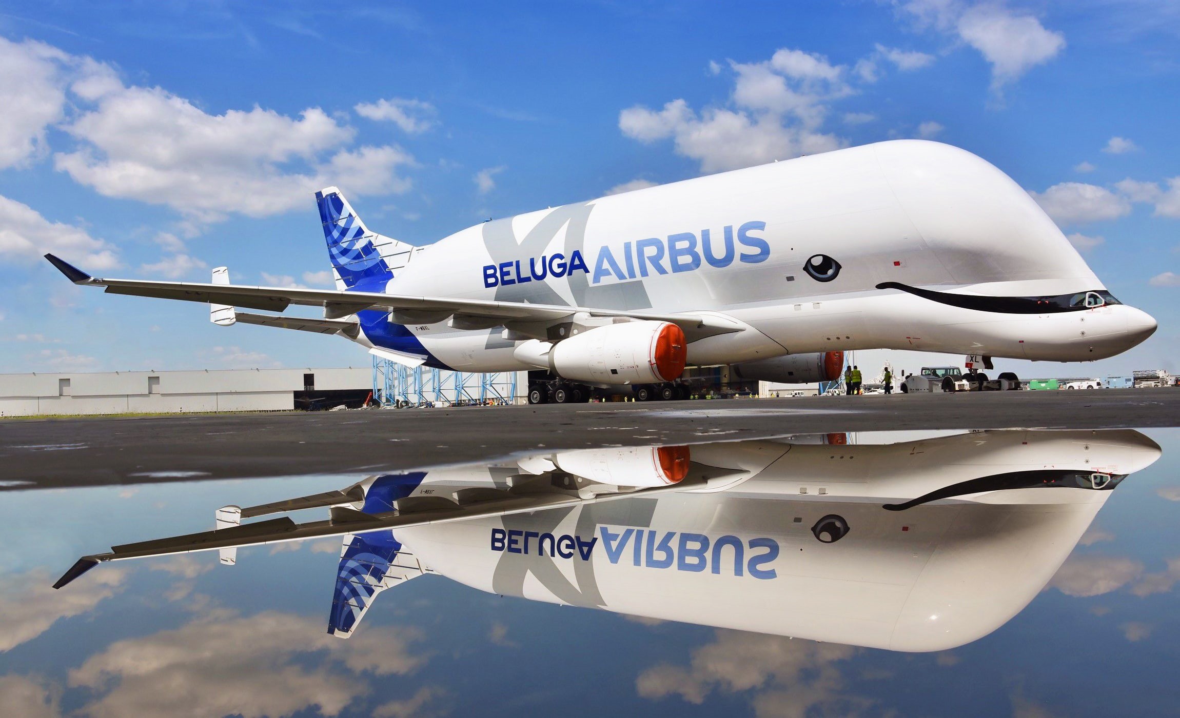 Airbus XL, by Reymondon, Reymondon, Airbus A300, 1080P, A300, Airbus Beluga XL, Airbus Beluga, Cargo, the plane, Beluga XL, Airbus, Reflection, Super Transporter, HD Wallpaper