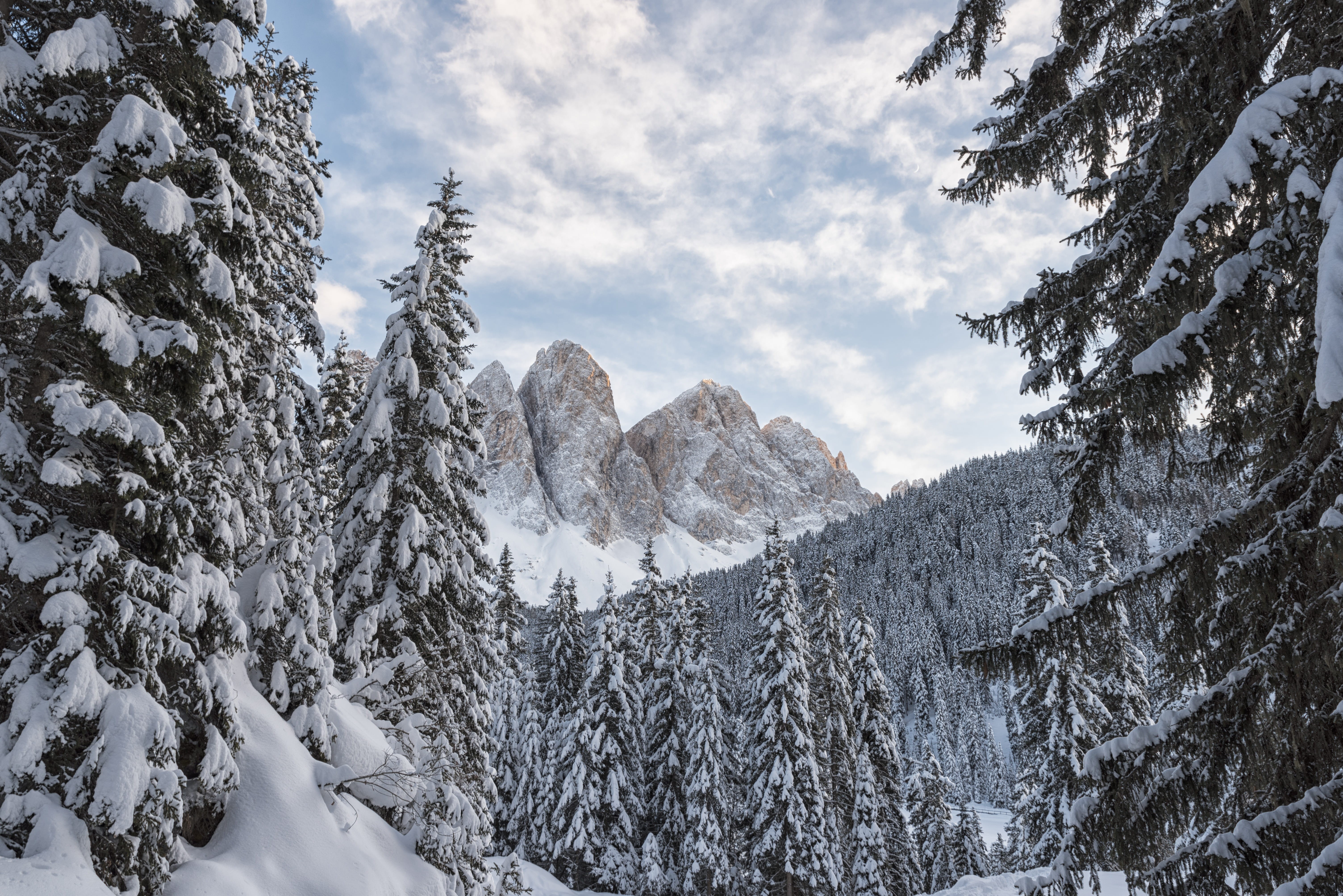coniferous tree, pine tree, landscape, plant, winter, cloud - sky, cold temperature, snowcapped mountain, snow, tranquility, land, south tyrol, 5K, hiking, HD Wallpaper