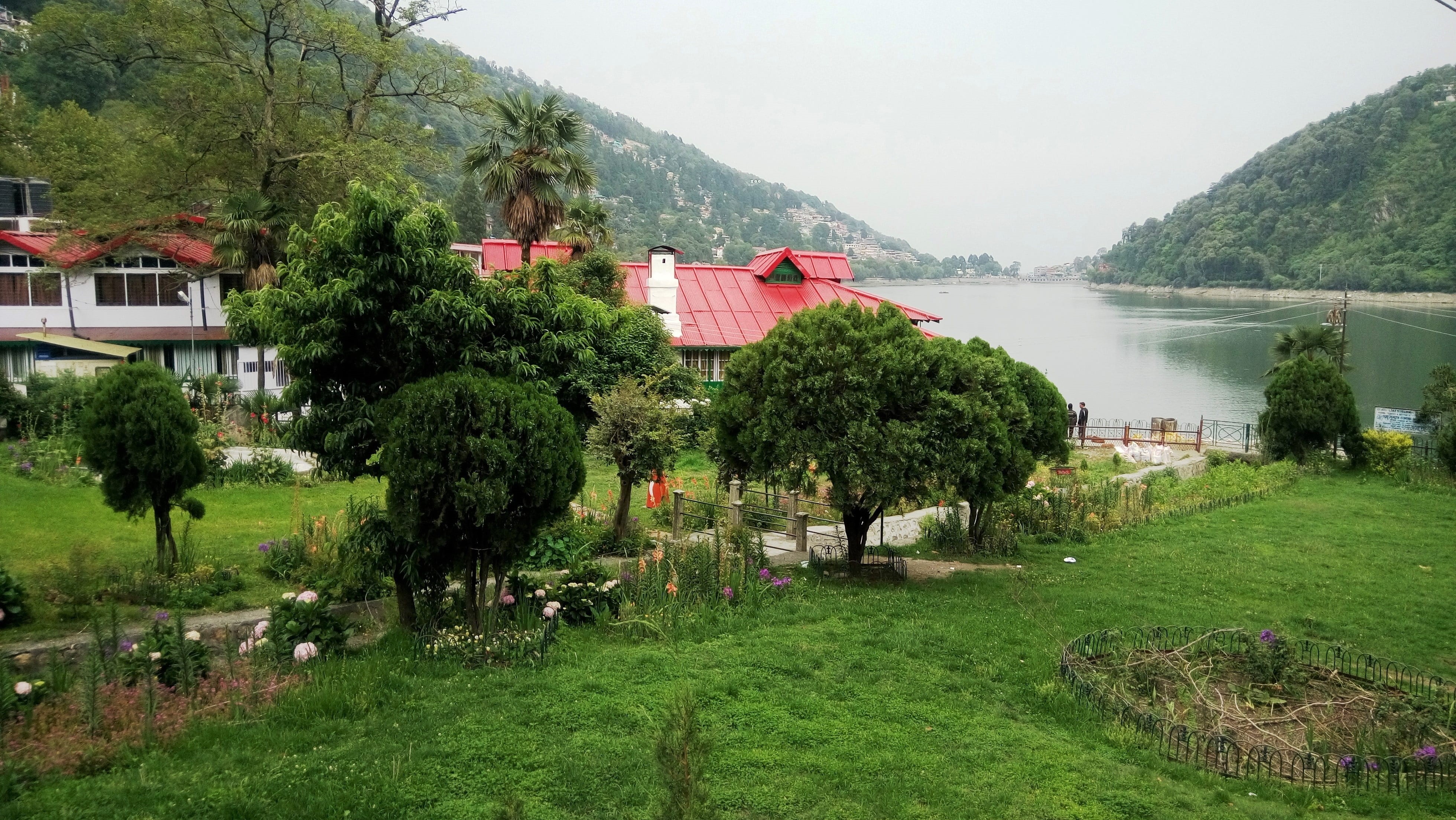 tree, tourism, nainital, green color, beauty in nature, building exterior, architecture, day, nature, river, water, building, grass, plant, hill station, HD Wallpaper