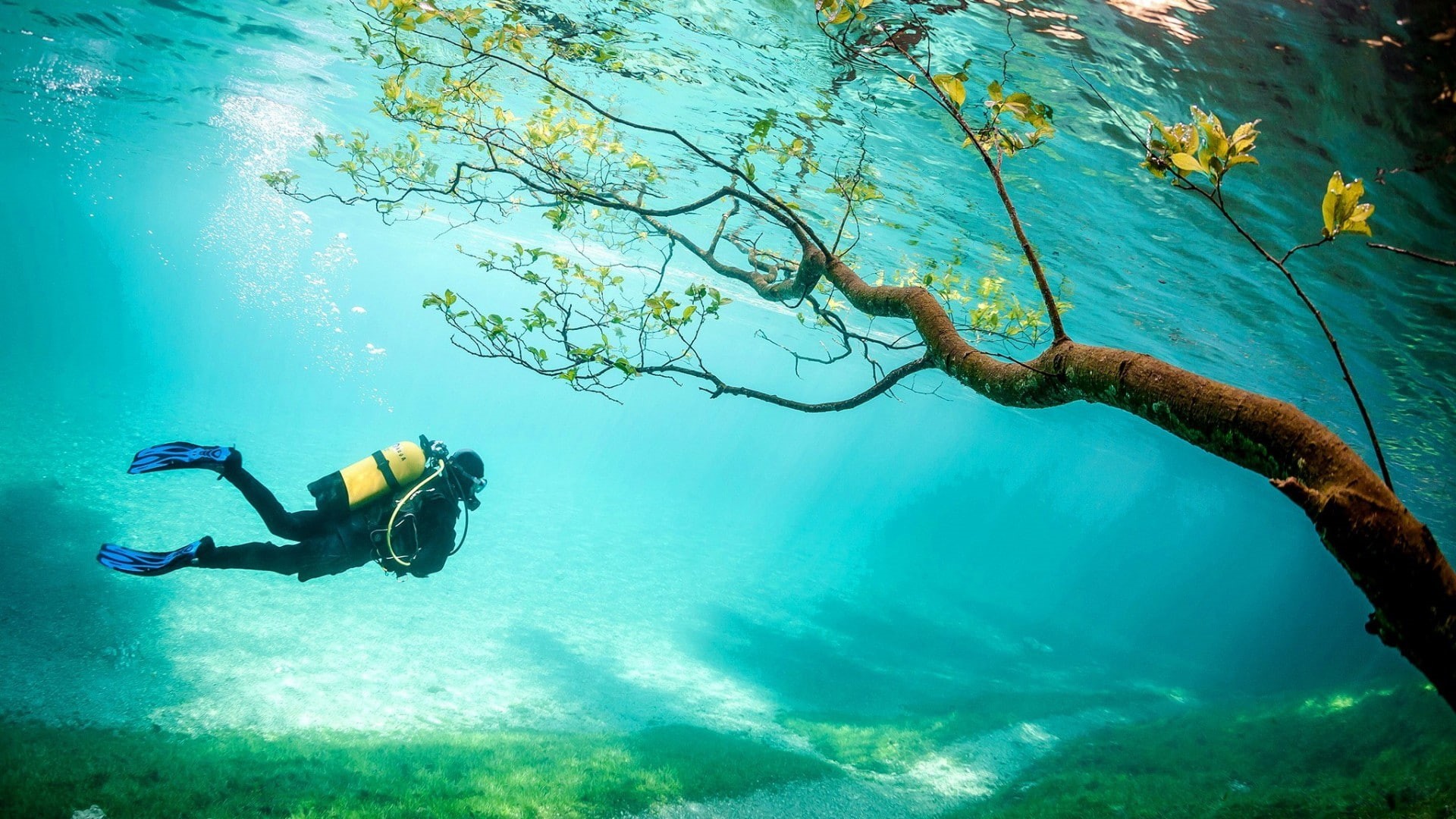 aqualung, 1080P, sea, ocean, athlete, explorer, diver, water, life, contestant, sky, person, swimmer, scuba diver, HD Wallpaper