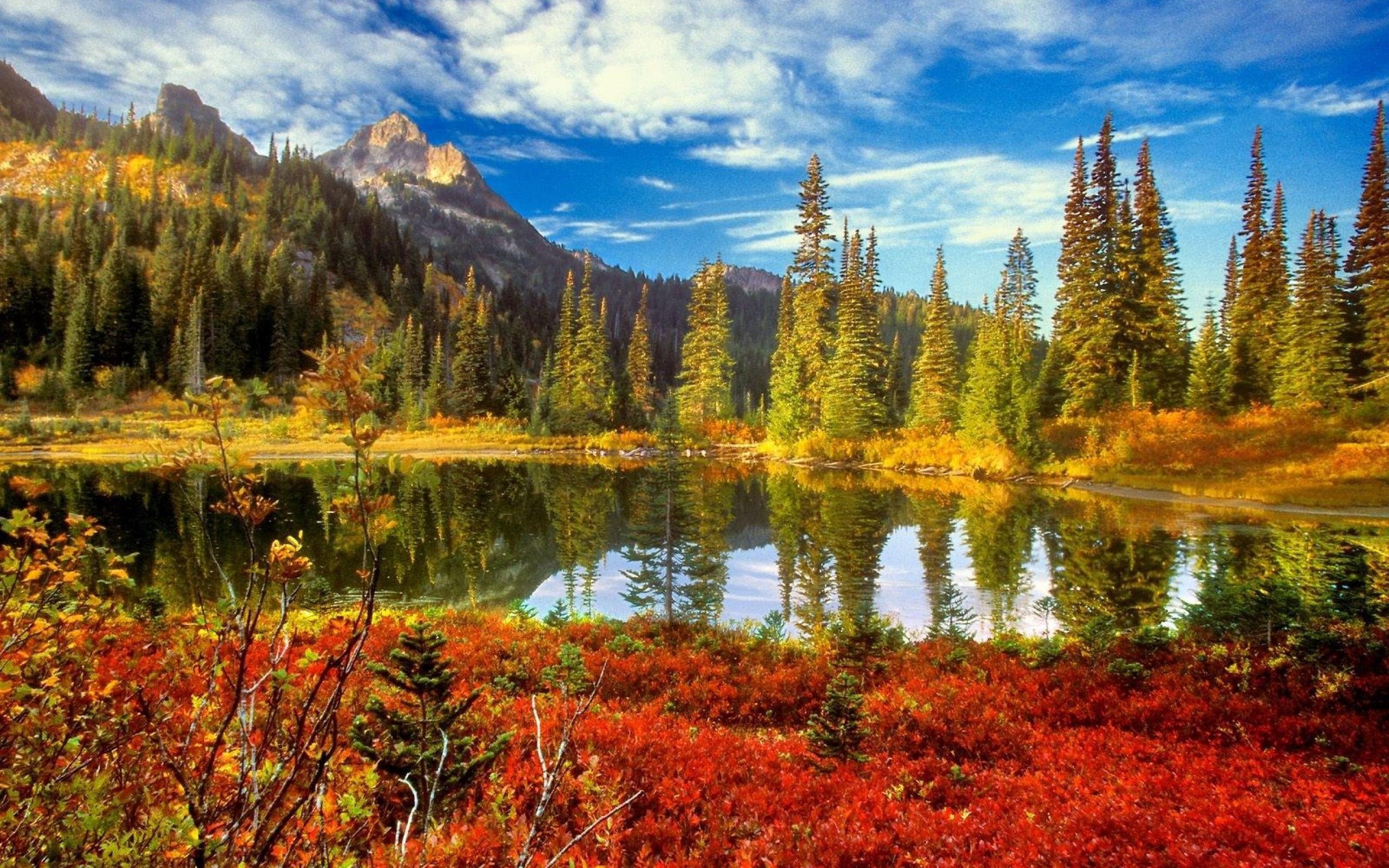 beauty, nature, forest, tree, lake, 3d and abstract, 2K, around, autum, HD Wallpaper