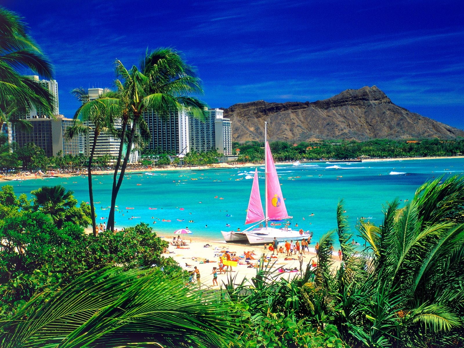 blue, waikiki, oahu, sea, hawaii, 720P, trees, green, HD Wallpaper