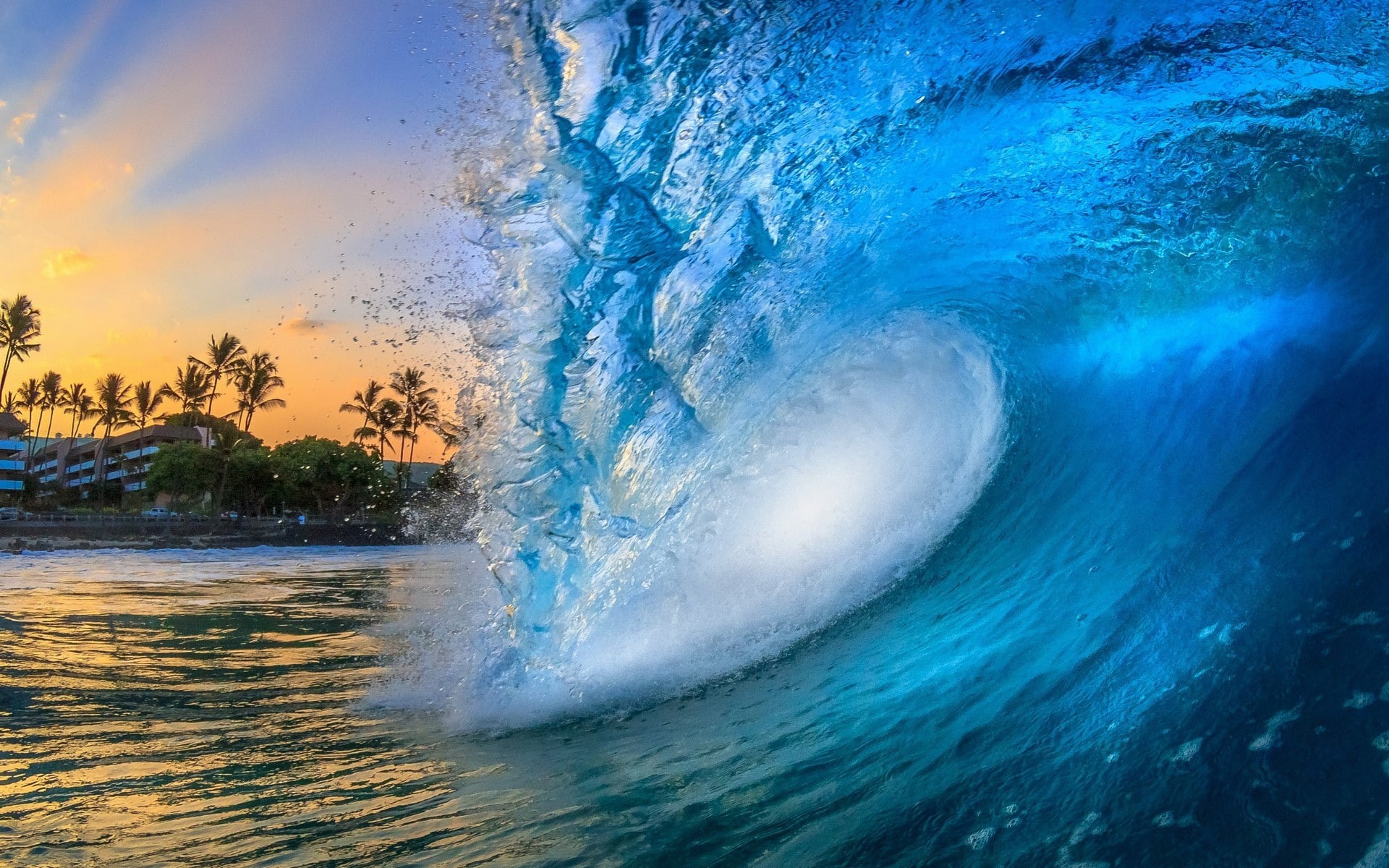 hawaii, sunrise, palm, sea, landscape, palm trees, 1080P, trees, waves, HD Wallpaper