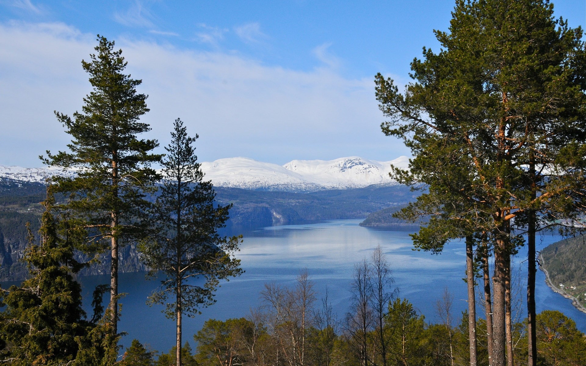 1080P, computer background  nature beauty 1920x1200, HD Wallpaper