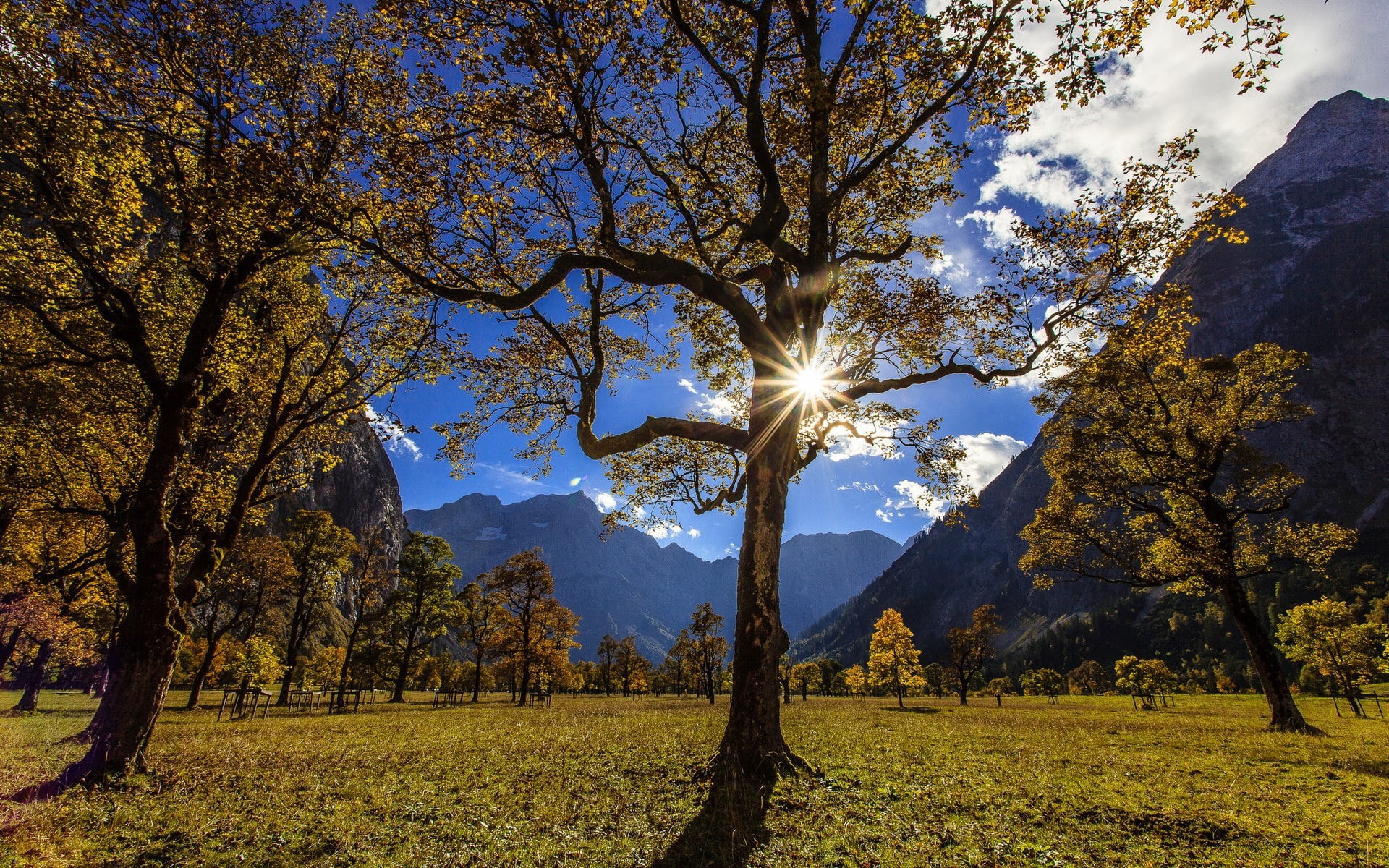 change, computer background  nature beauty 1920x1200, day, idyllic, autumn, outdoors, plant, tranquility, field, nature, sky, mountain, tree trunk, land, HD Wallpaper