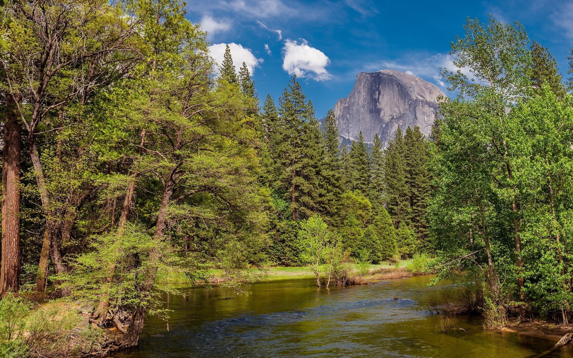 no people, land, cloud - sky, tree, computer background  nature beauty 1920x1200, tranquility, 1080P, green color, sky, water, forest, flowing water, scenics - nature, HD Wallpaper