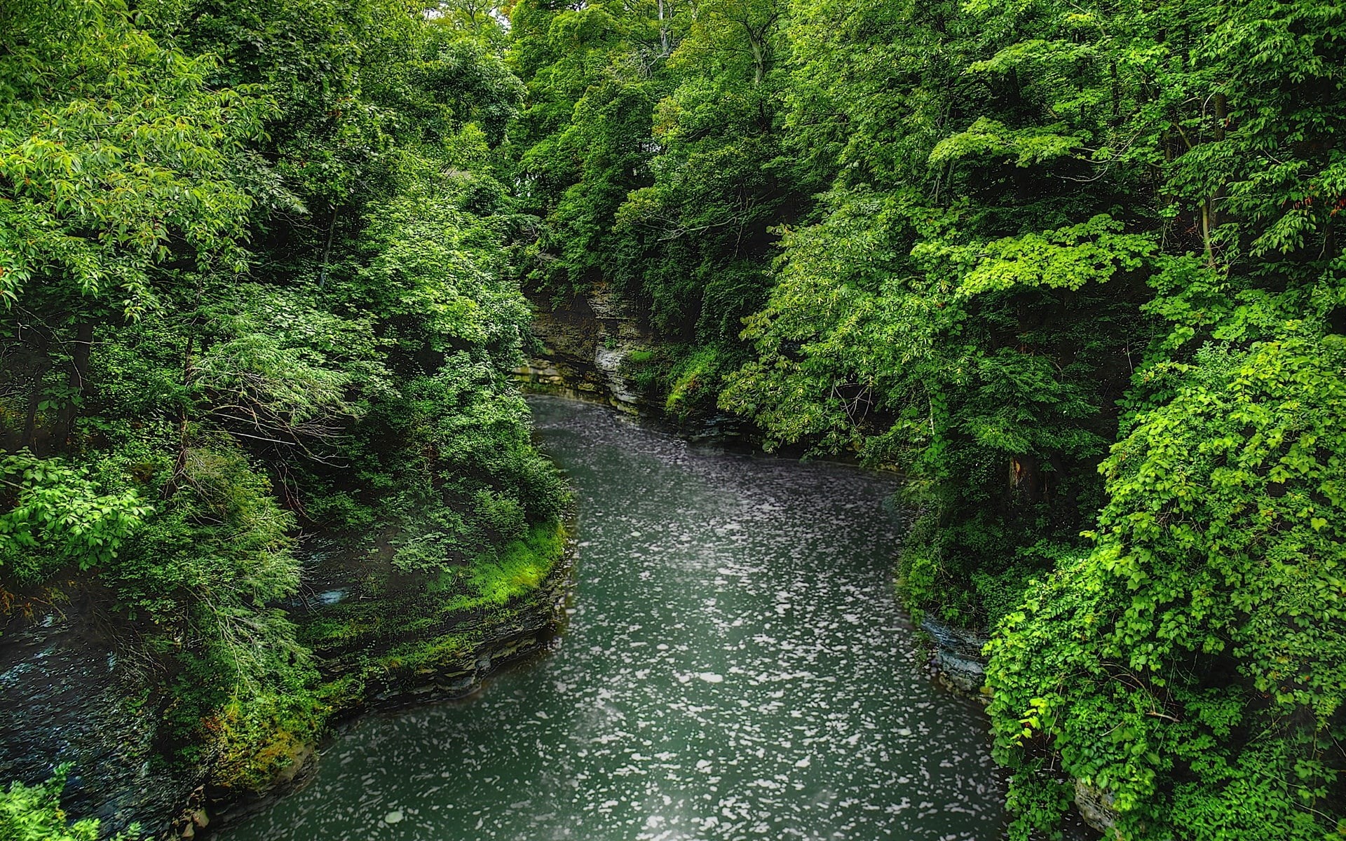 computer background  nature beauty 1920x1200, 1080P, HD Wallpaper