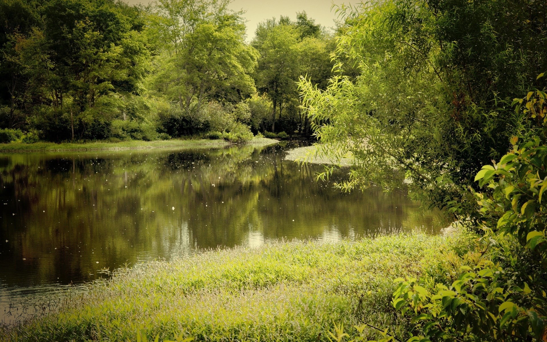 1080P, computer background  nature beauty 1920x1200, HD Wallpaper