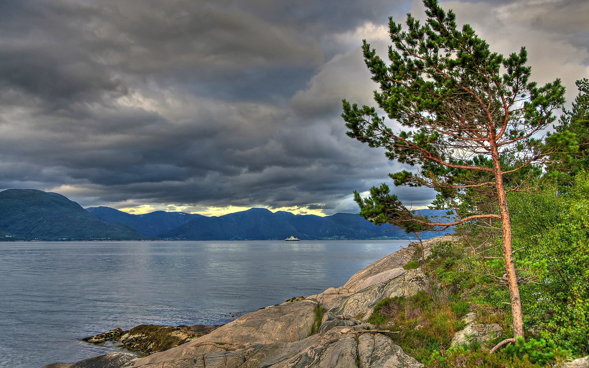 storm, tree, nature, mountain range, plant, mountain, land, beauty in nature, scenics - nature, non-urban scene, sky, tranquil scene, no people, environment, HD Wallpaper