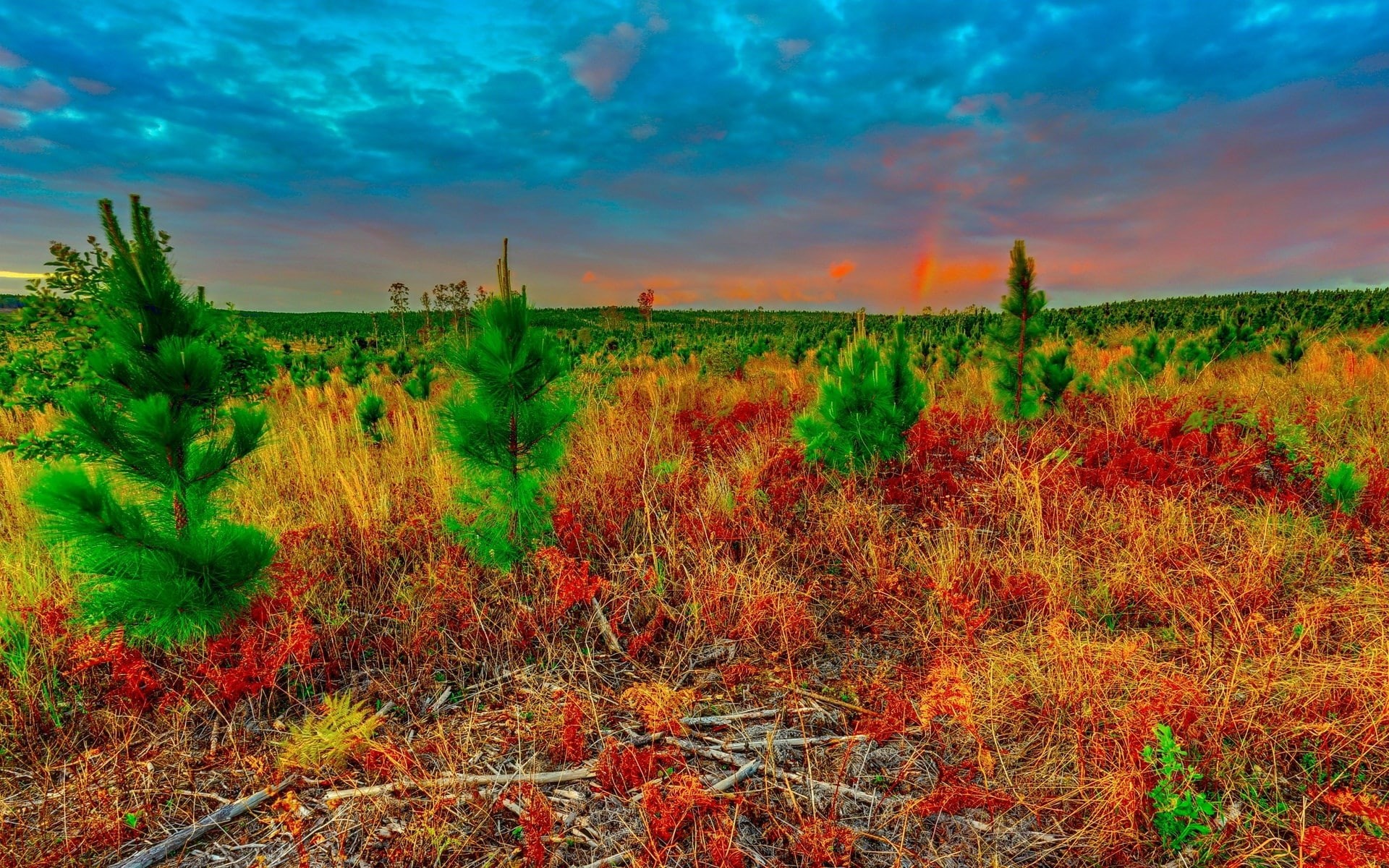 computer background  nature beauty 1920x1200, rural scene, day, growth, outdoors, tranquility, sky, agriculture, 1080P, field, cloud - sky, nature, environment, HD Wallpaper