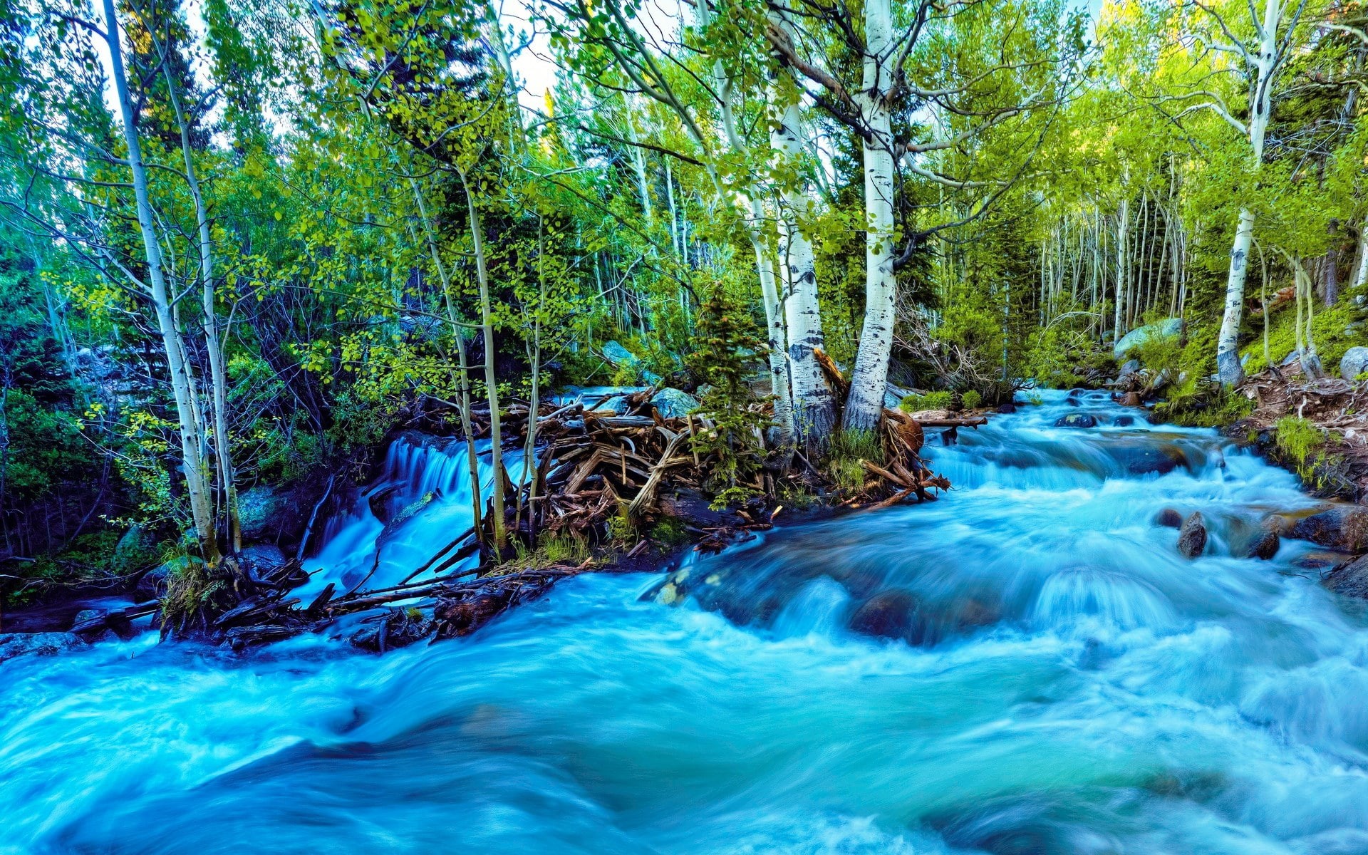 1080P, computer background  nature beauty 1920x1200, HD Wallpaper