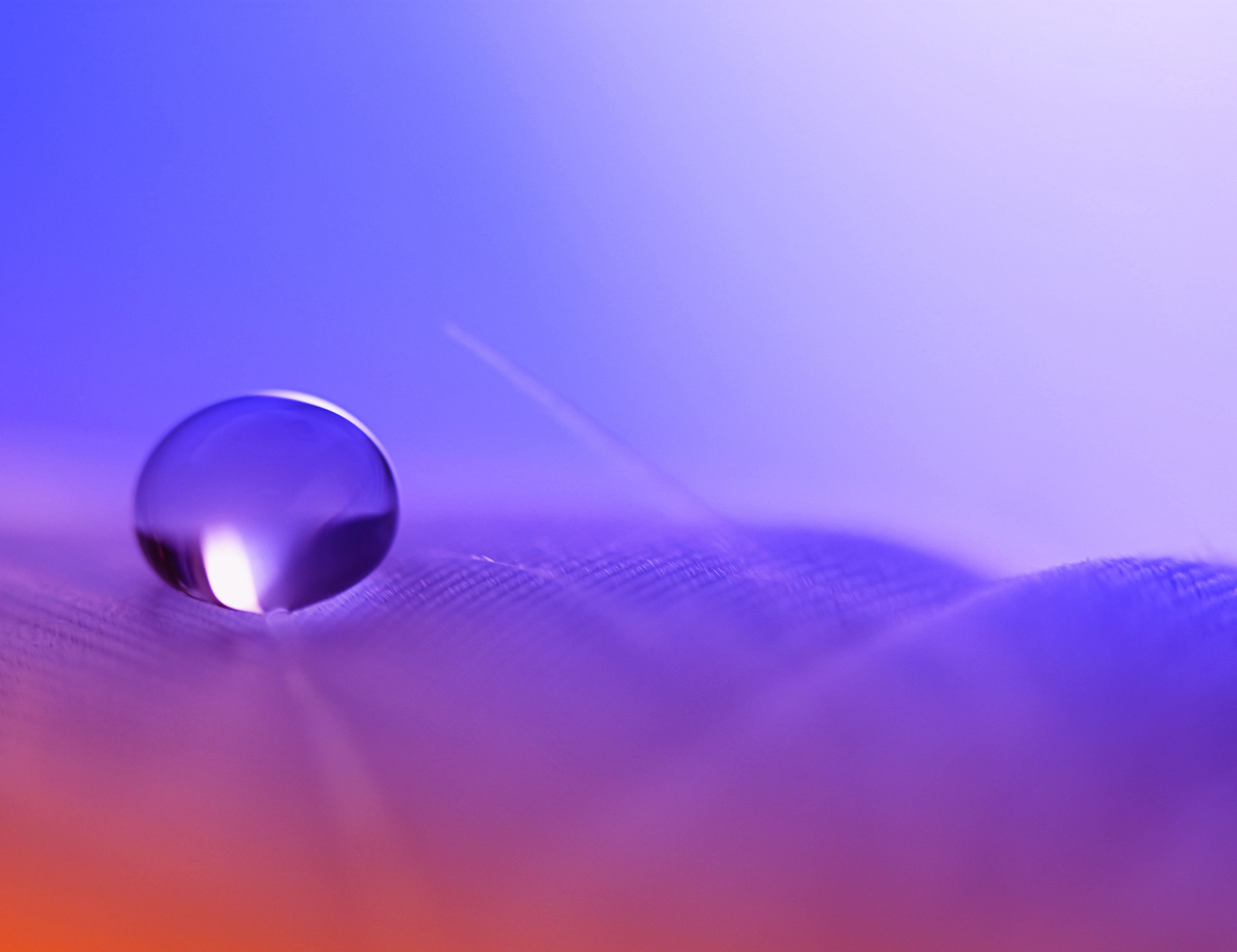 reflection, circle, FEATHER, abstract, photography, 4K, SHINE, macro photography, HSS, sphere, WATER, macro, shiny, DROP, LIGHT, Into The Unknown, SCOTLAND, HD Wallpaper