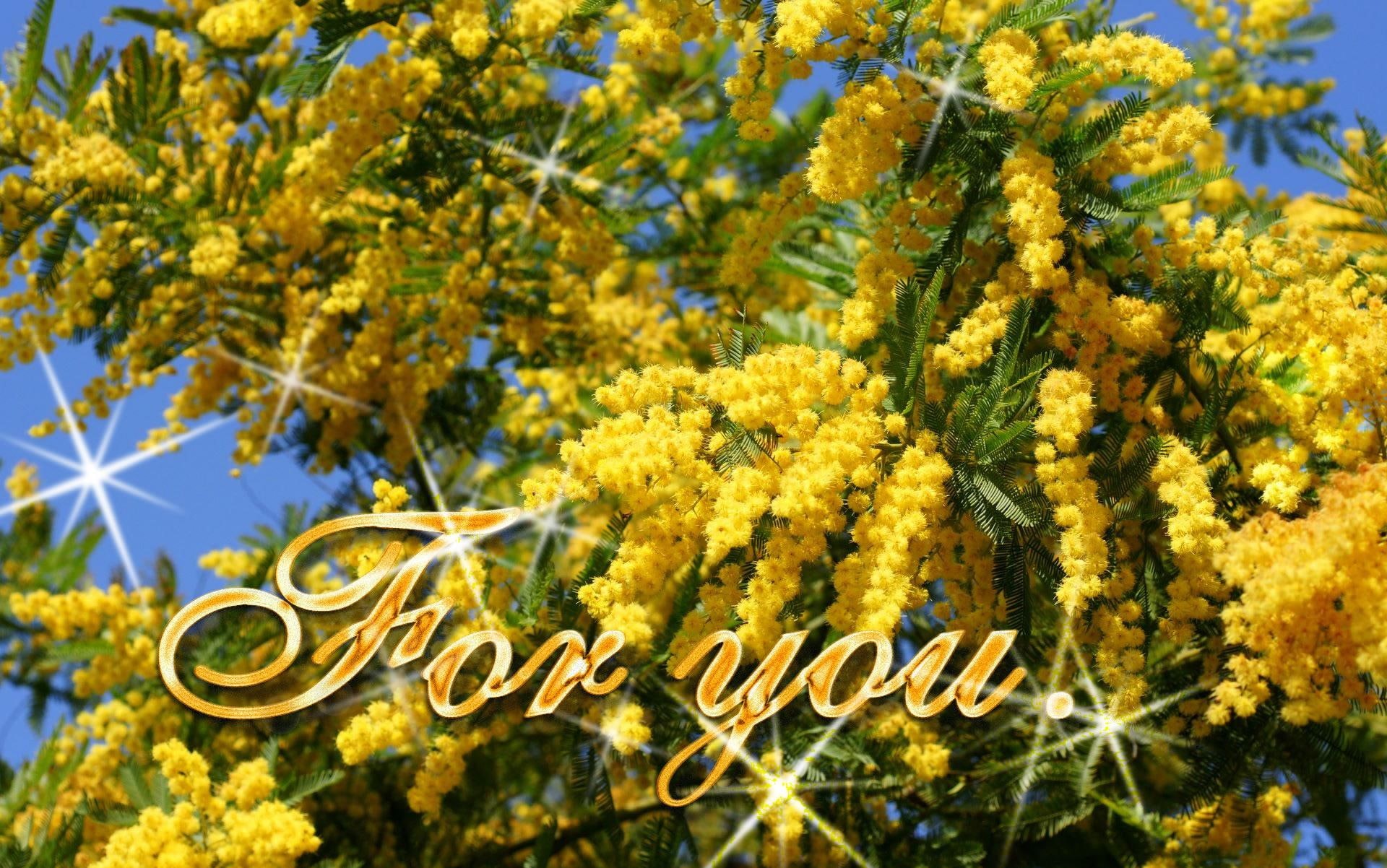 beautiful, tree, gift, days, yellow, for you, 1080P, bright, glitter, dn, flowers, 3d and abstract, friends, HD Wallpaper