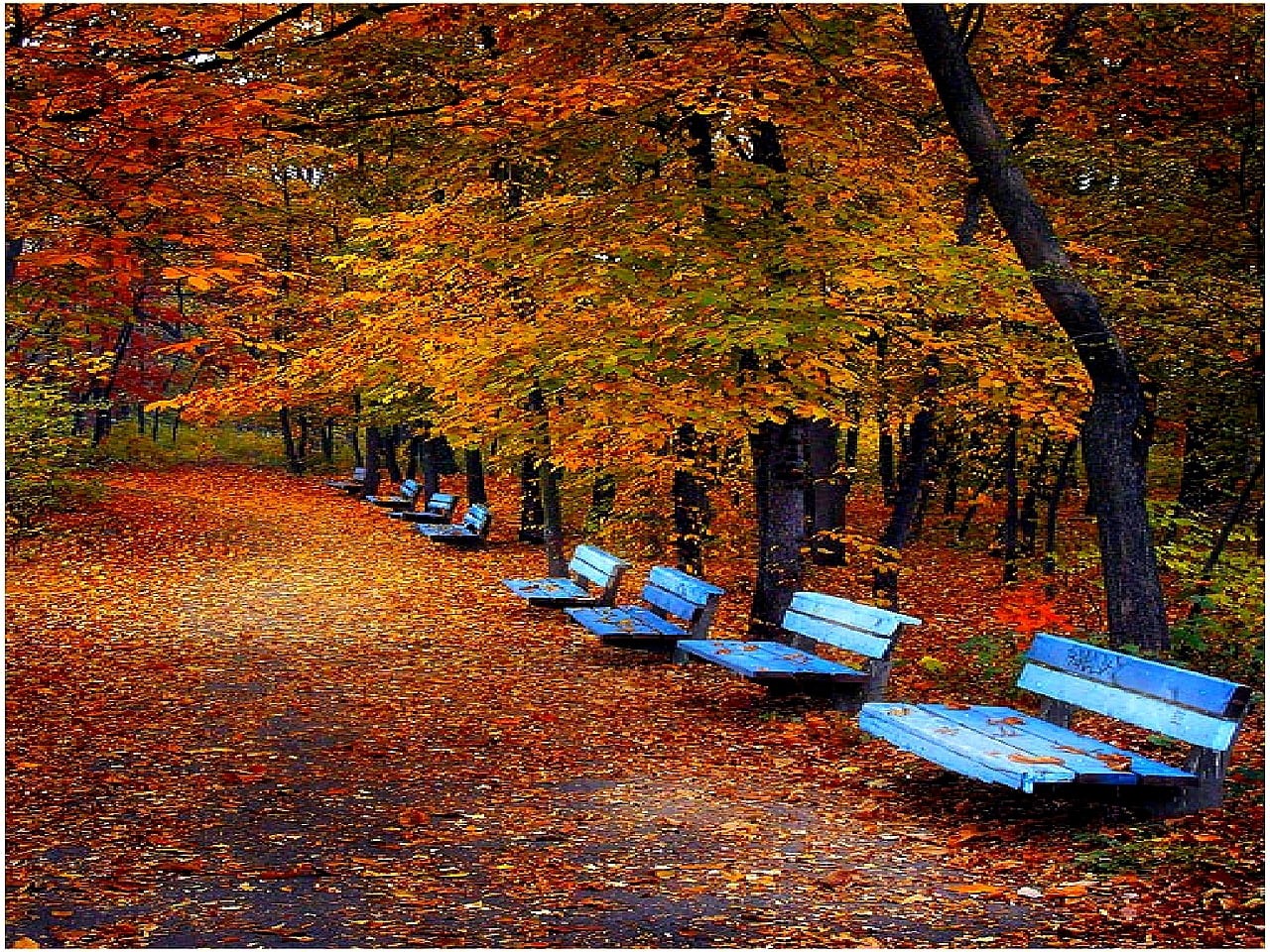 art, benches, blue benches, Bulgaria, dn, seats, friends, 720P, hd, fall, nature, autumn, leaves, HD Wallpaper