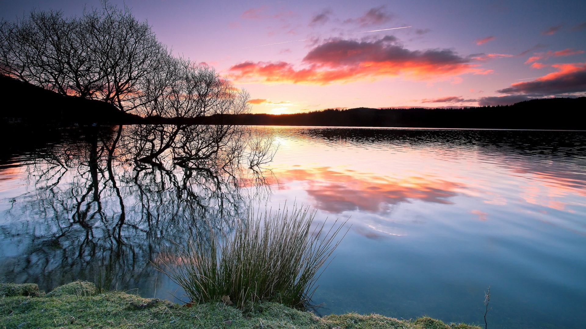 sky, nature, scenics - nature, sunset, silhouette, orange color, tree, non-urban scene, water, tranquil scene, reflection, sun, cloud - sky, idyllic, outdoors, HD Wallpaper