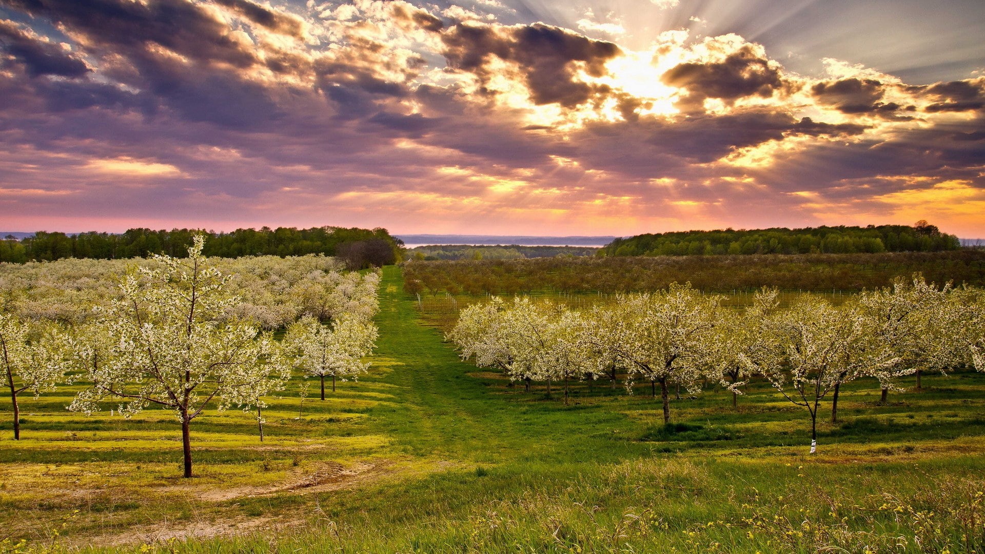 1080P, for desktop nature scenes beautiful scenery 1920x1080, HD Wallpaper