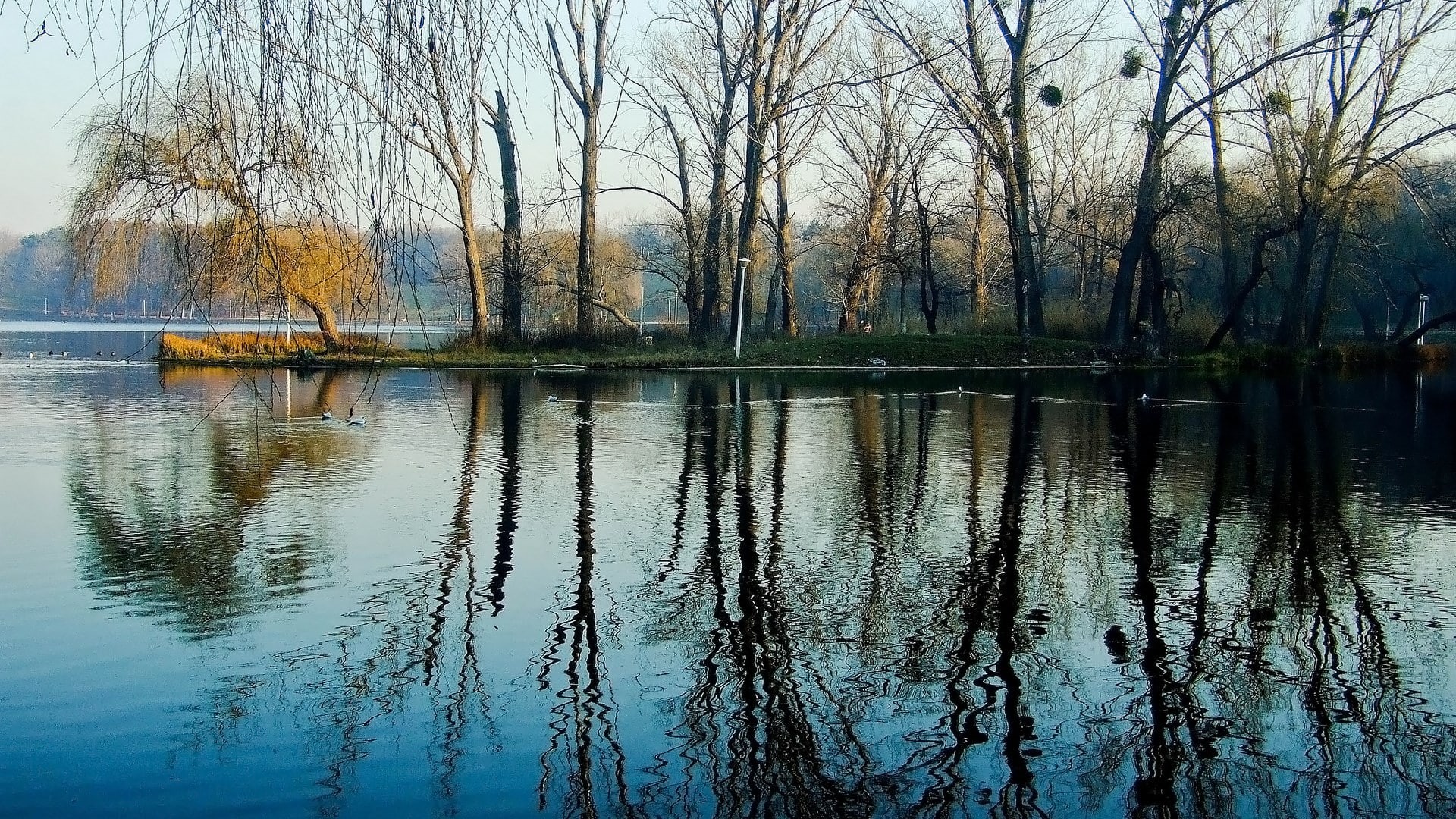 day, water, bare tree, architecture, tranquil scene, 1080P, plant, scenics - nature, lake, built structure, reflection, waterfront, beauty in nature, for desktop nature scenes beautiful scenery 1920x1080, HD Wallpaper