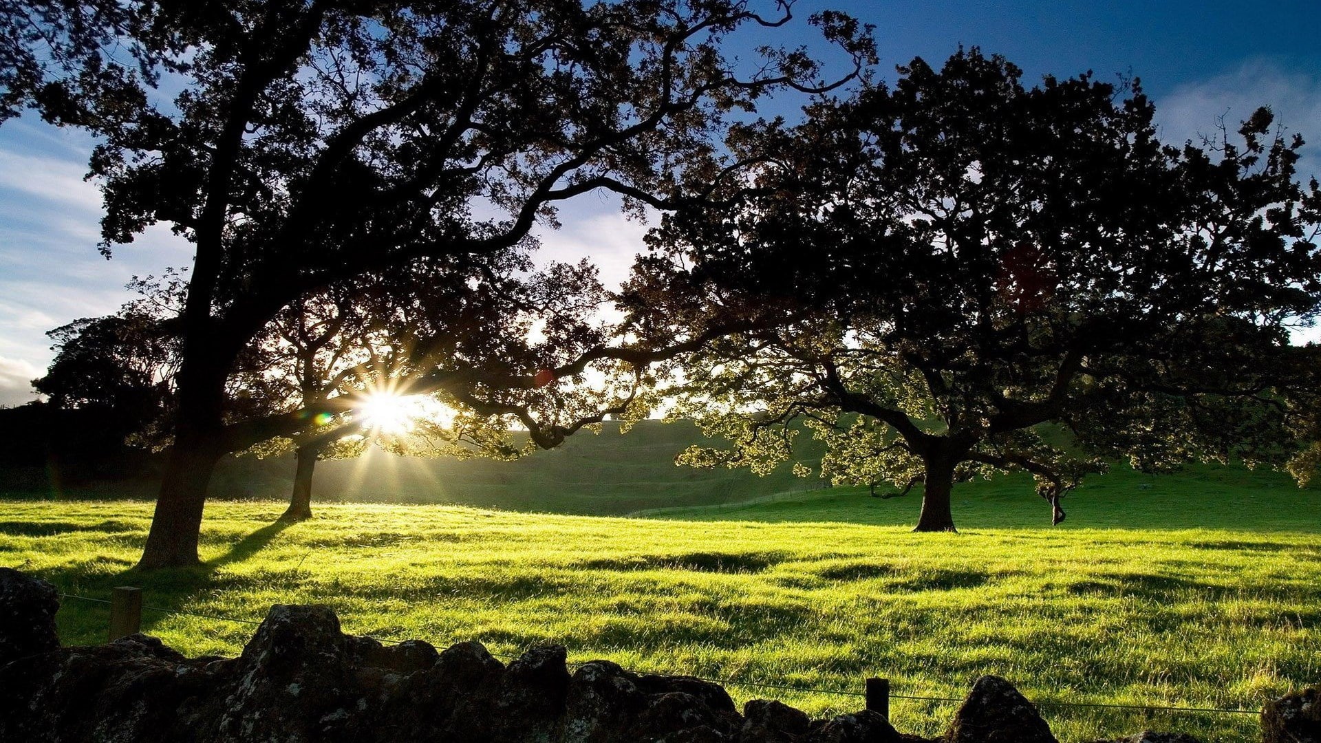 1080P, for desktop nature scenes beautiful scenery 1920x1080, HD Wallpaper