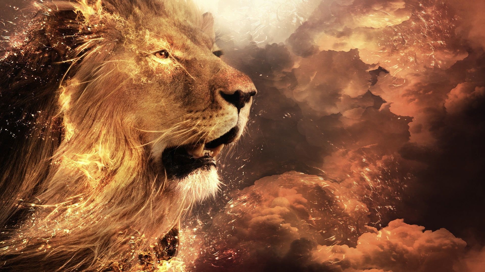 4k pic, Lion, 1920x1080, animals, 1080P, 4K, HD Wallpaper
