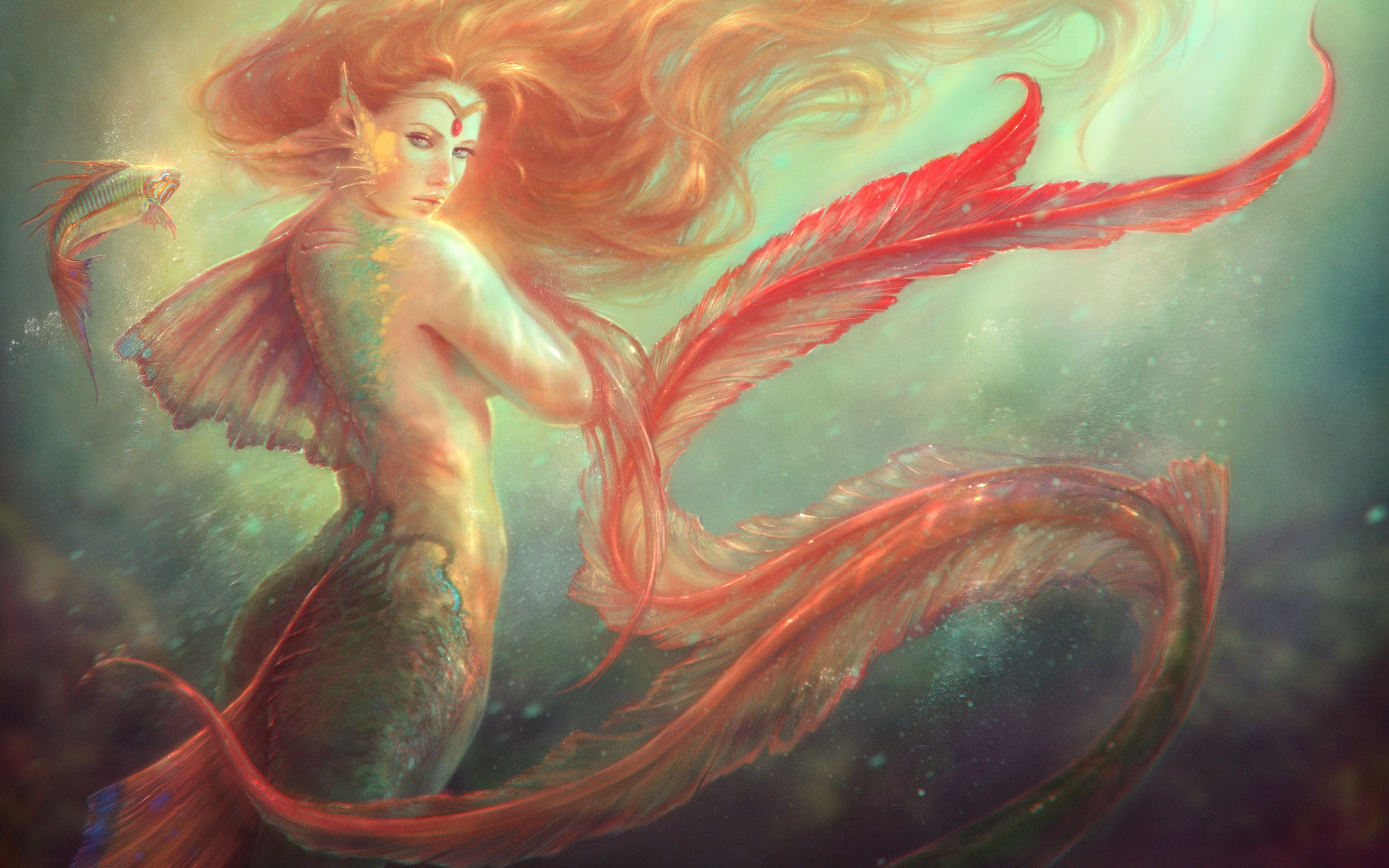 Fish, fins, Red hair, tail, scales, 2K, Mermaid, HD Wallpaper