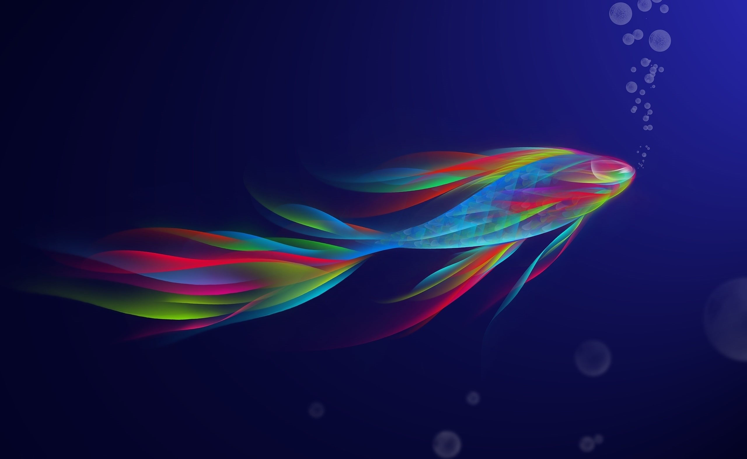 blue, flowing, rainbow, swirl, multicolored, nature, lightweight, black background, abstract backgrounds, colored background, Colorful, Betta, water, Artistic, HD Wallpaper