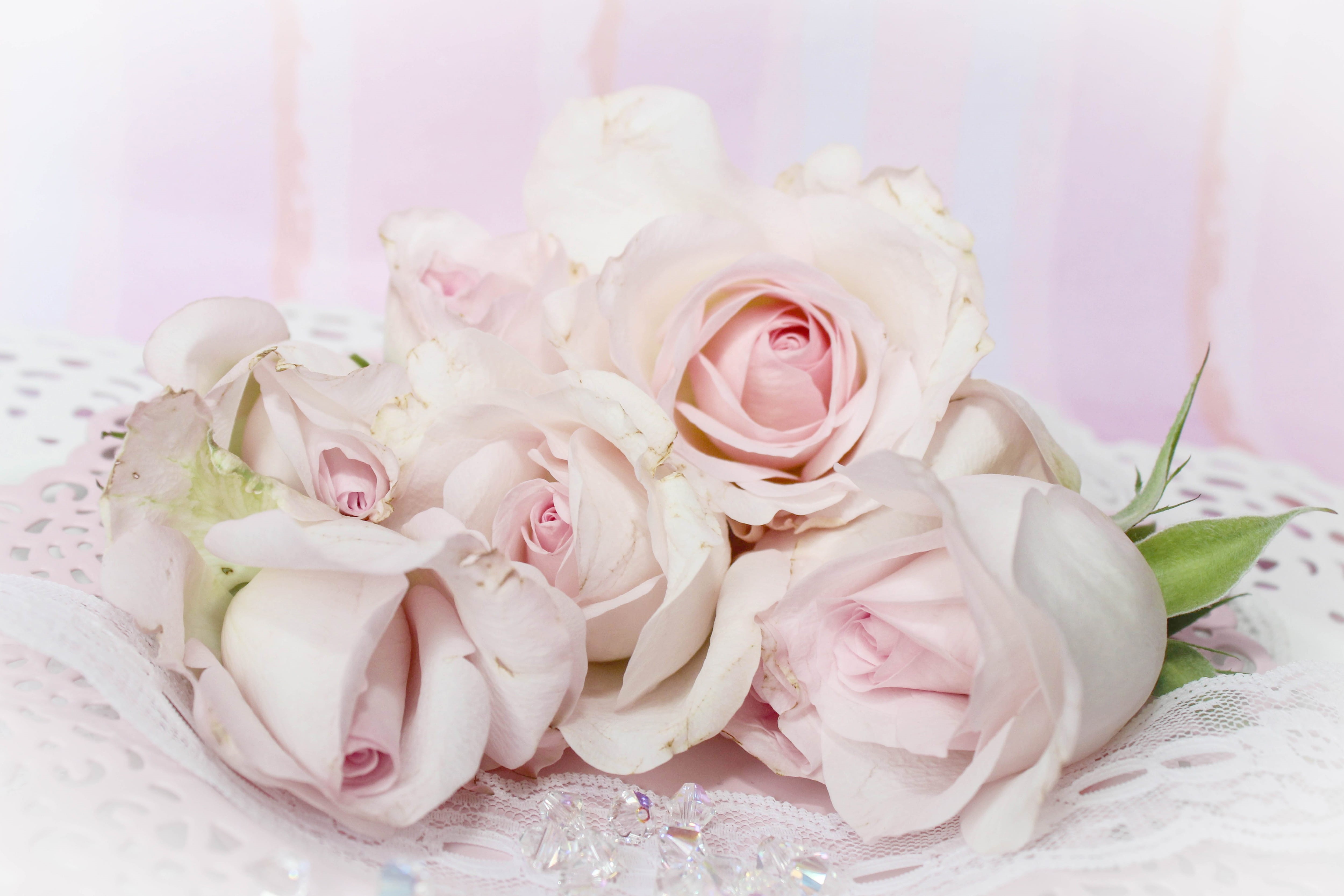 celebration, rose, romance, close-up, plant, softness, flowering plant, flower arrangement, freshness, love, indoors, fragility, pale pink, decoration, HD Wallpaper