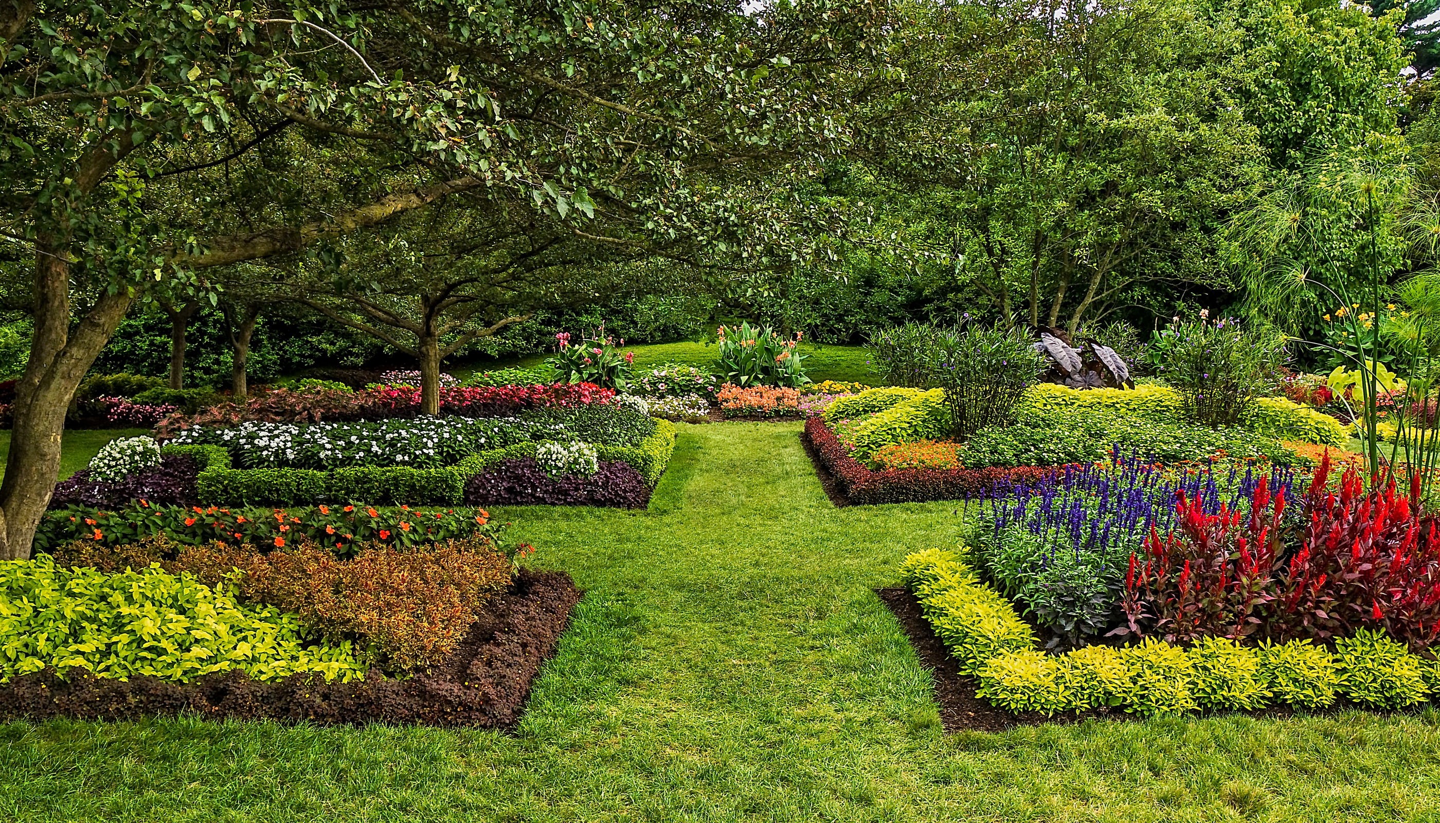 hedge, photo, flowering plant, day, lawn, the bushes, tranquility, Kennett Square, ornamental garden, flowerbed, green color, flower, USA, plant, grass, HD Wallpaper