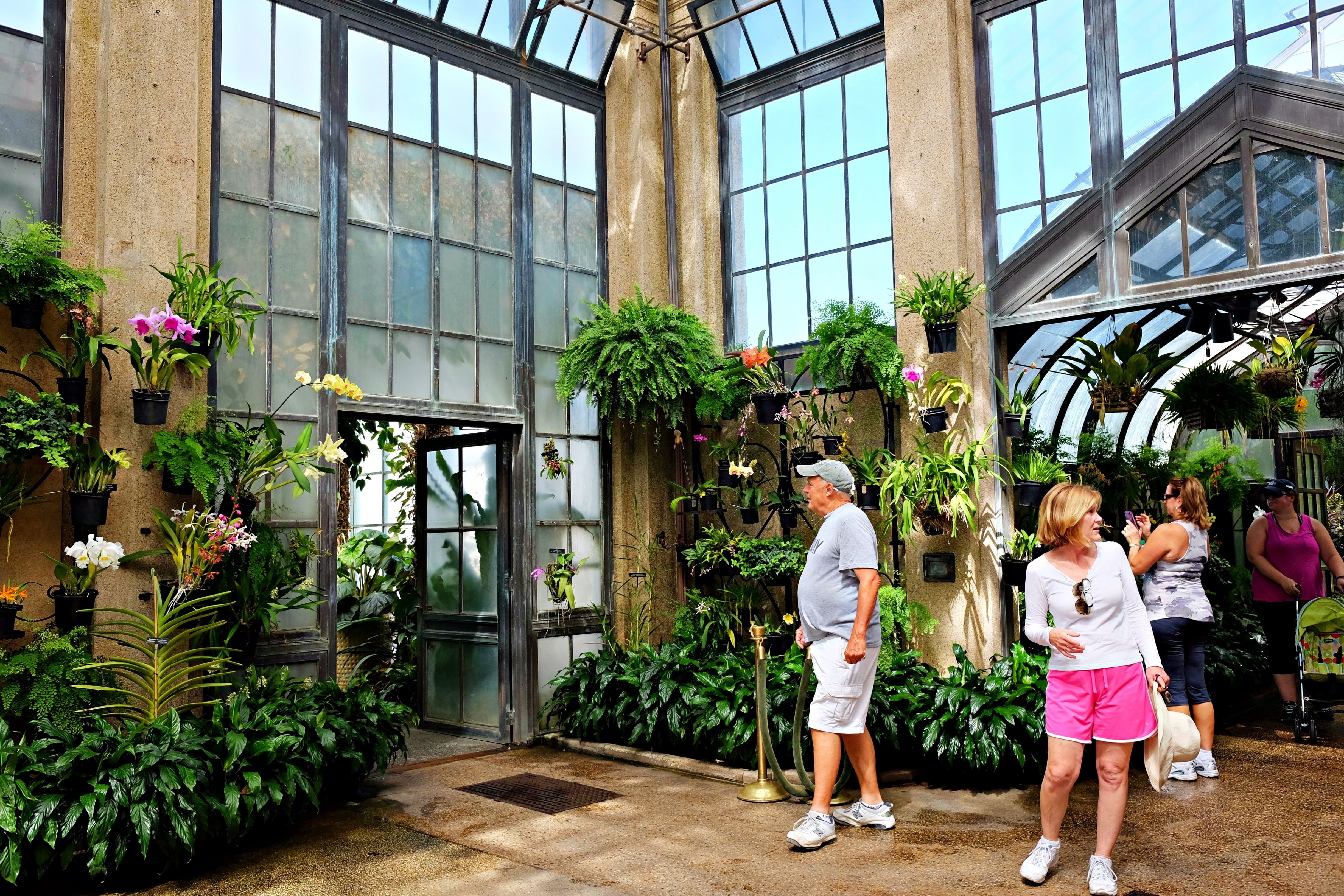 longwood gardens, day, garden, standing, two people, casual clothing, real people, adult, women, nature, plant, outdoors, building exterior, potted plant, HD Wallpaper