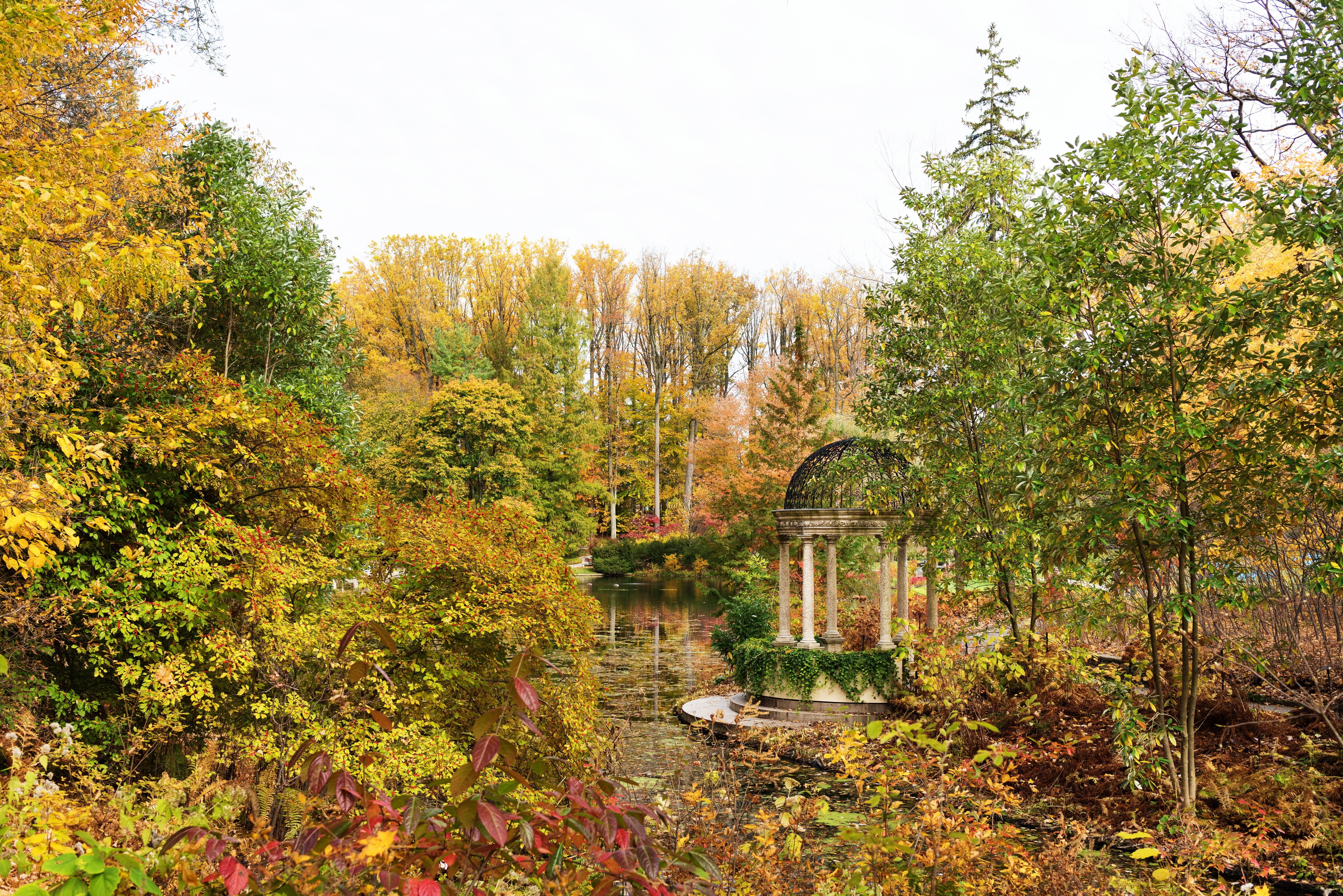 autumn, usa, longwood, pagodas, gardens, parks, nature, trees, 5K, pond, HD Wallpaper